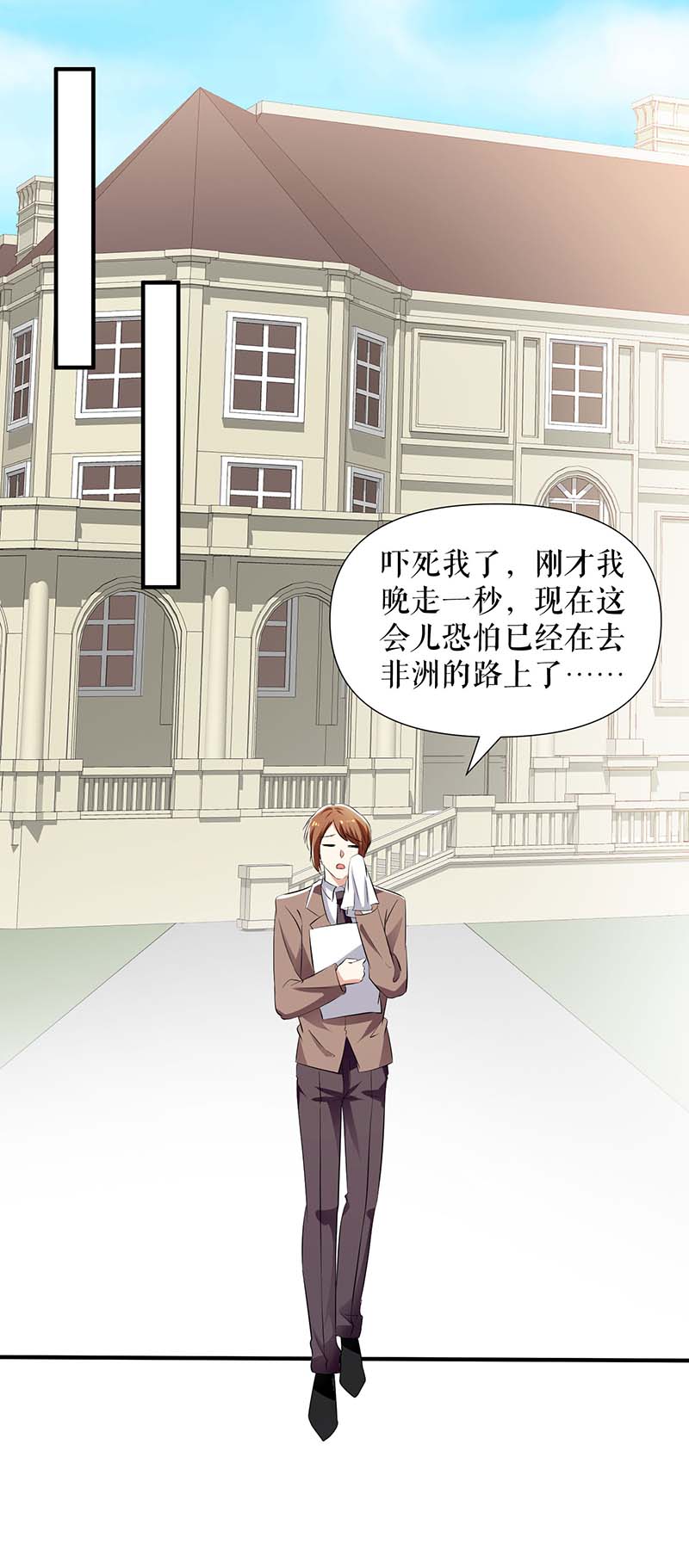 总裁宠妻太强悍第204话 扫墓