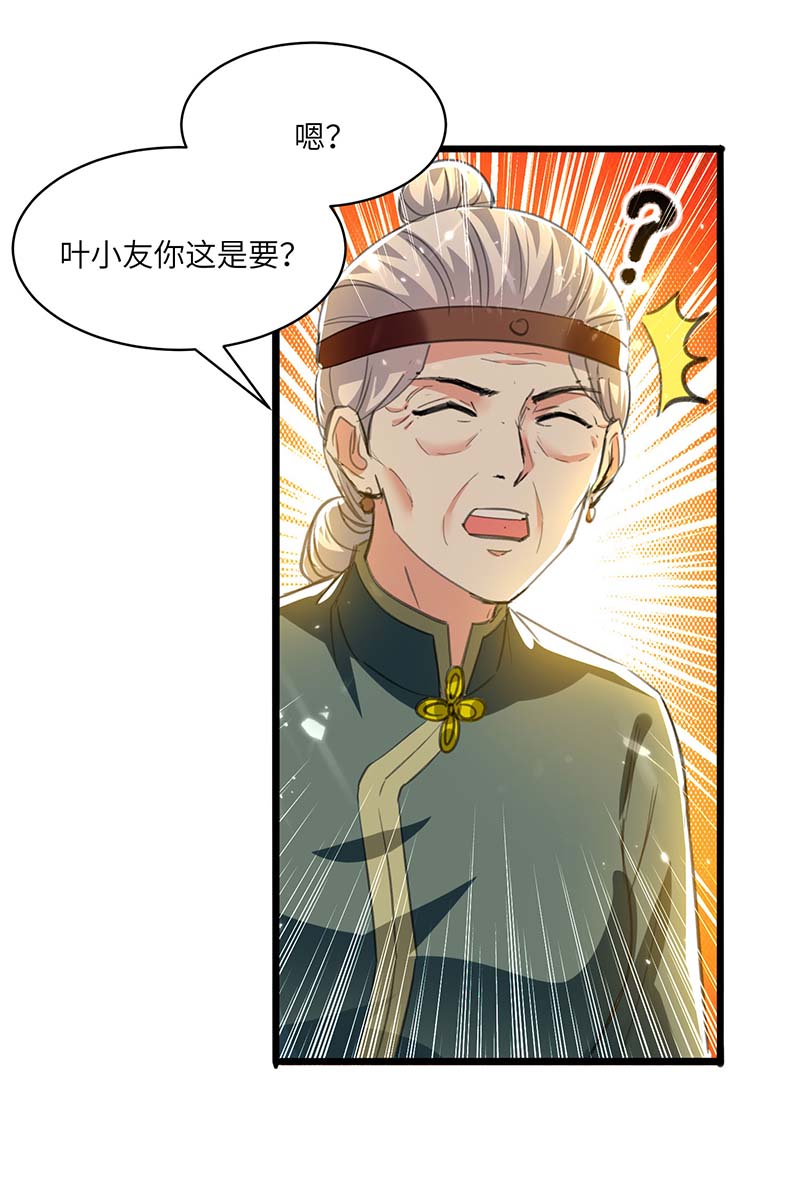 神级透视第199话 化芝为丹