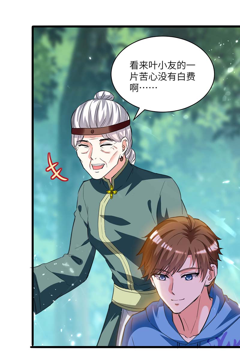 神级透视第199话 化芝为丹