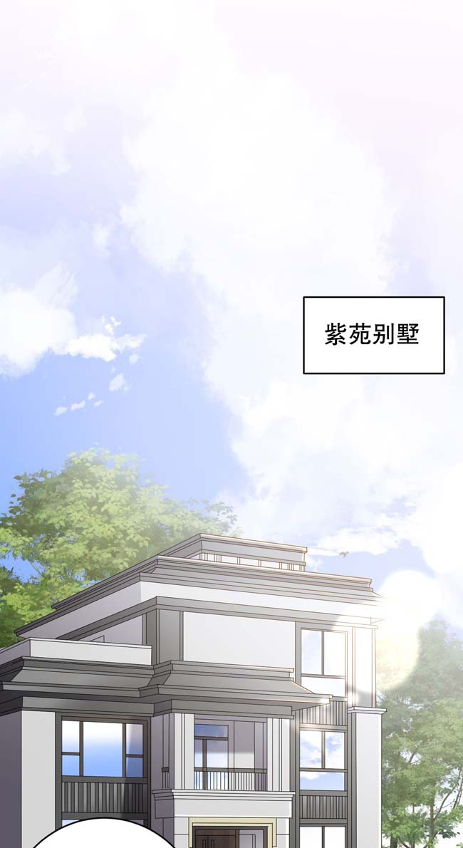 大小姐能有什么坏心眼第97话 一模一样的项链