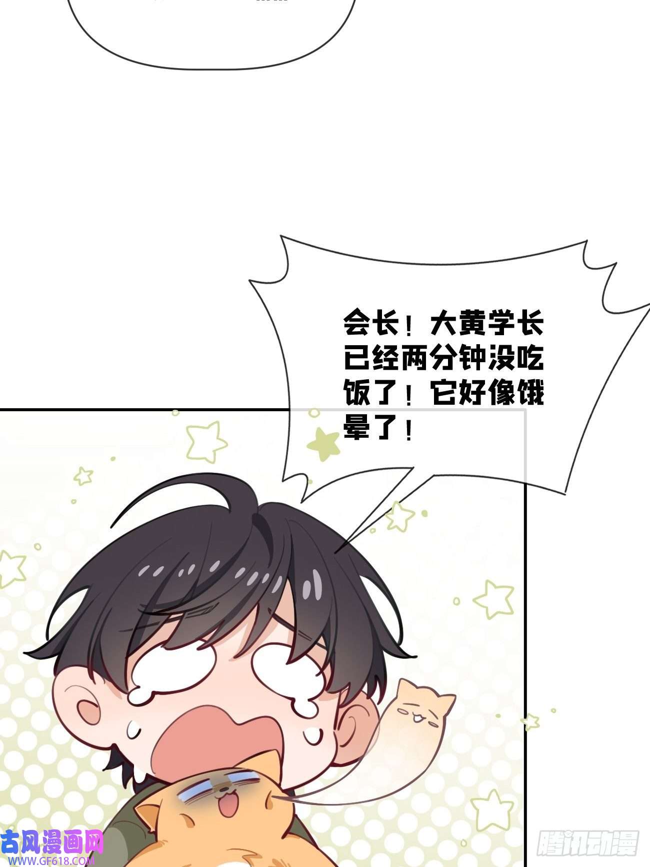 犬大欺主08.针锋相对