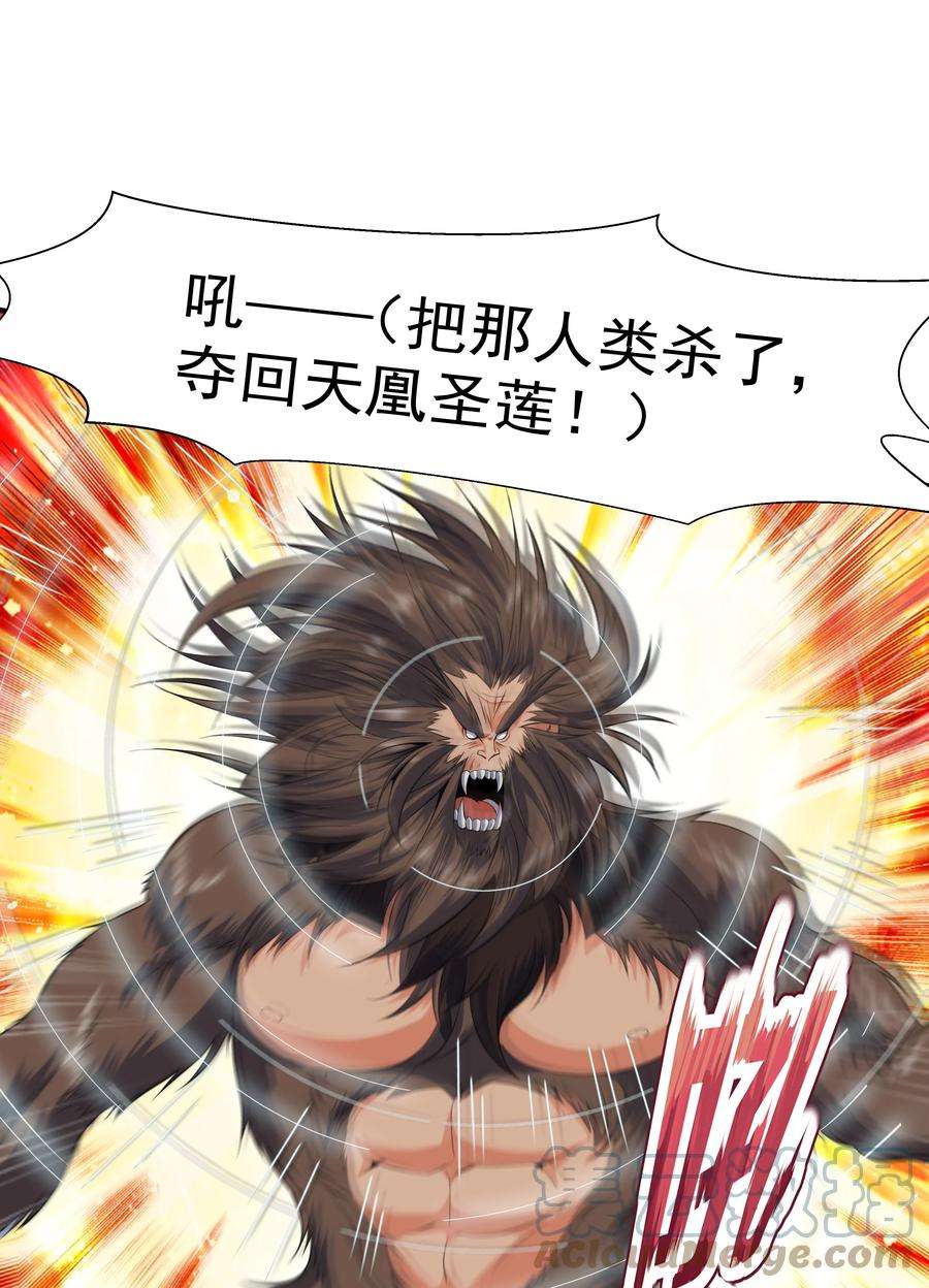 魔兽战神010 天凰圣莲