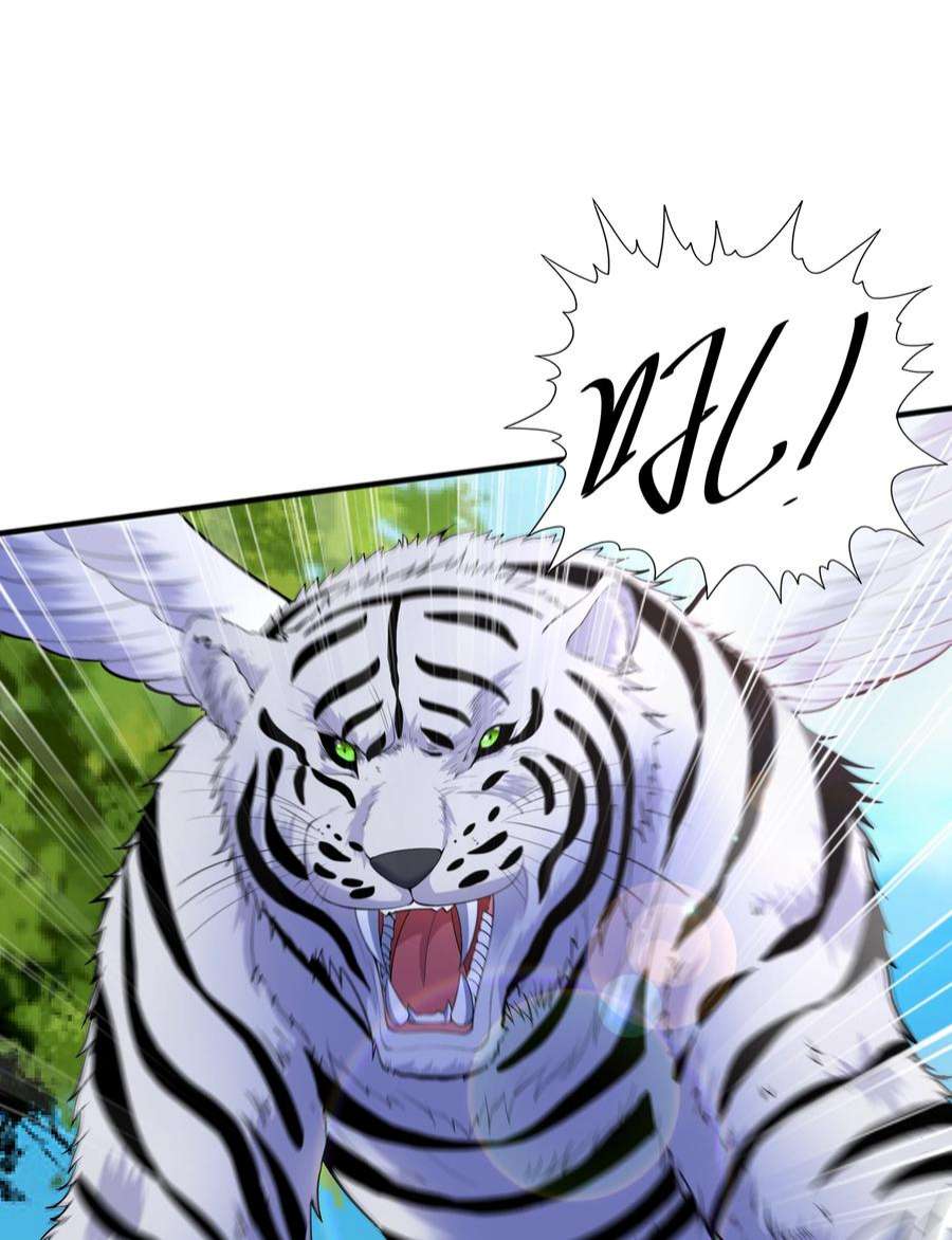 魔兽战神021 姑娘，别误会