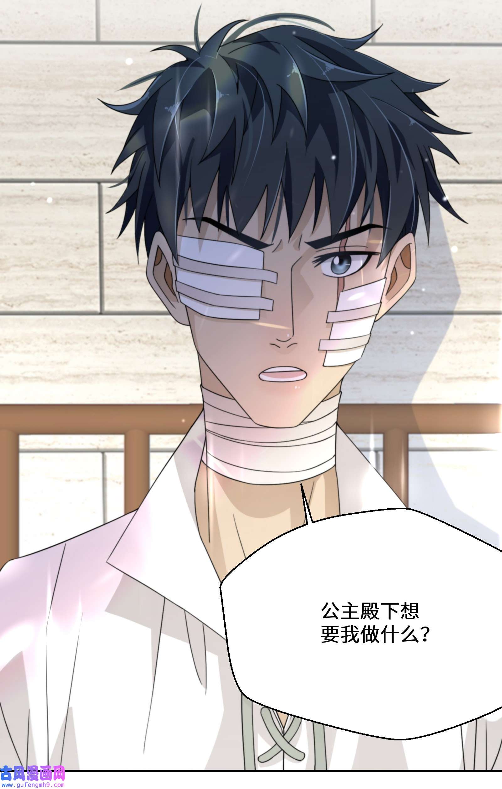 公主的一百种殉国方式024 另有目的