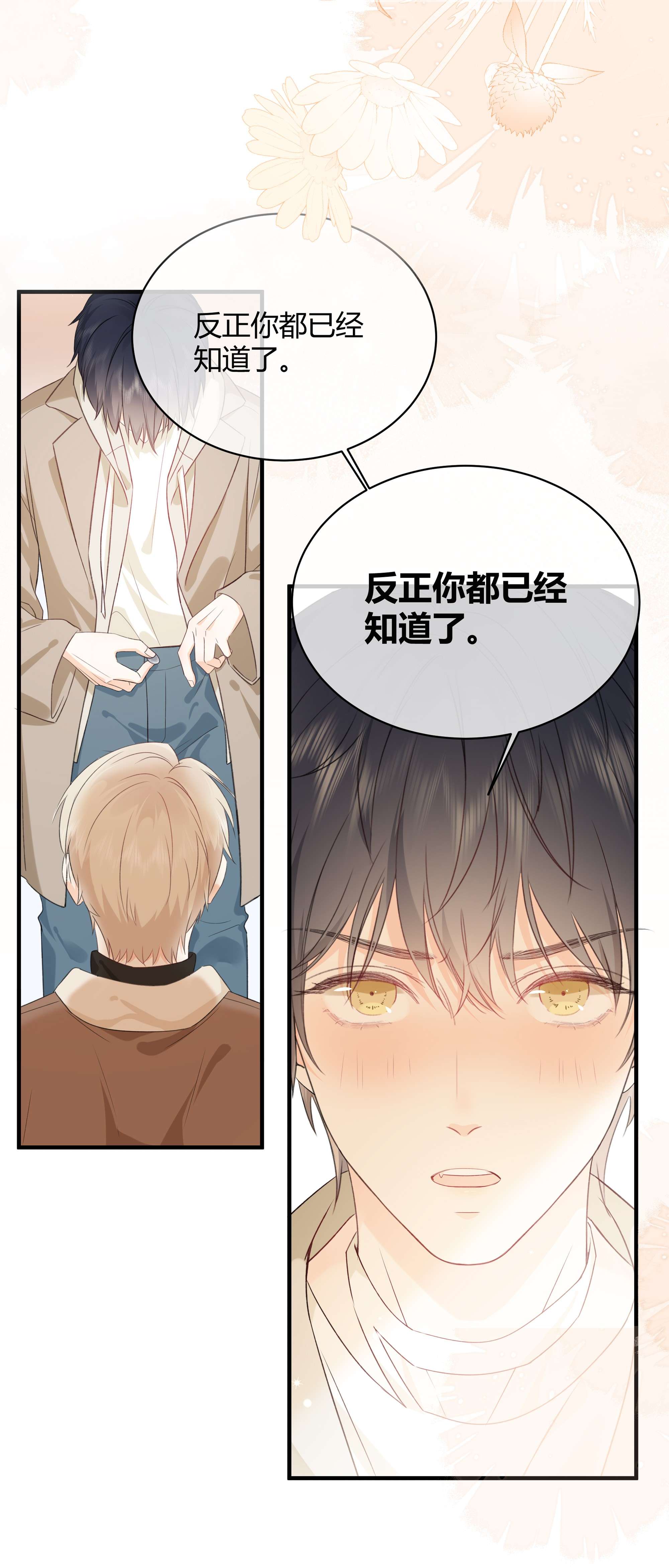 营养过良预告 一起来吸猫