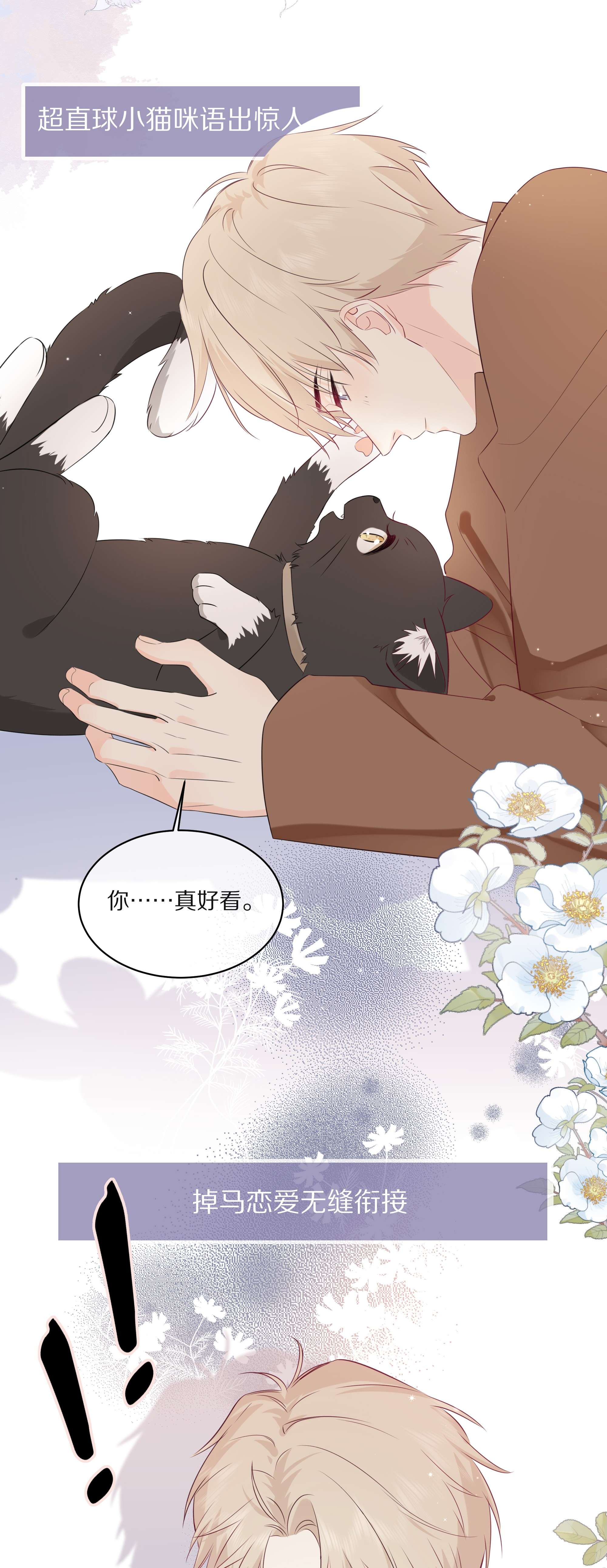 营养过良预告 一起来吸猫