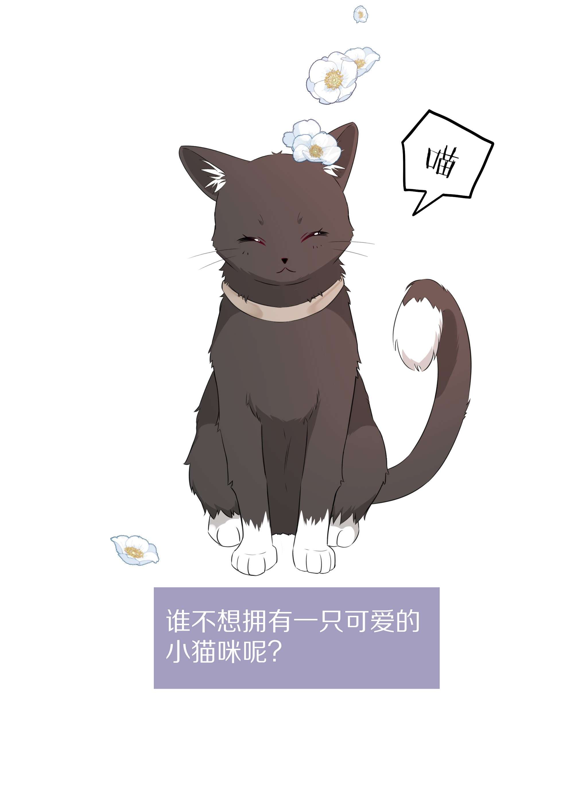 营养过良预告 一起来吸猫