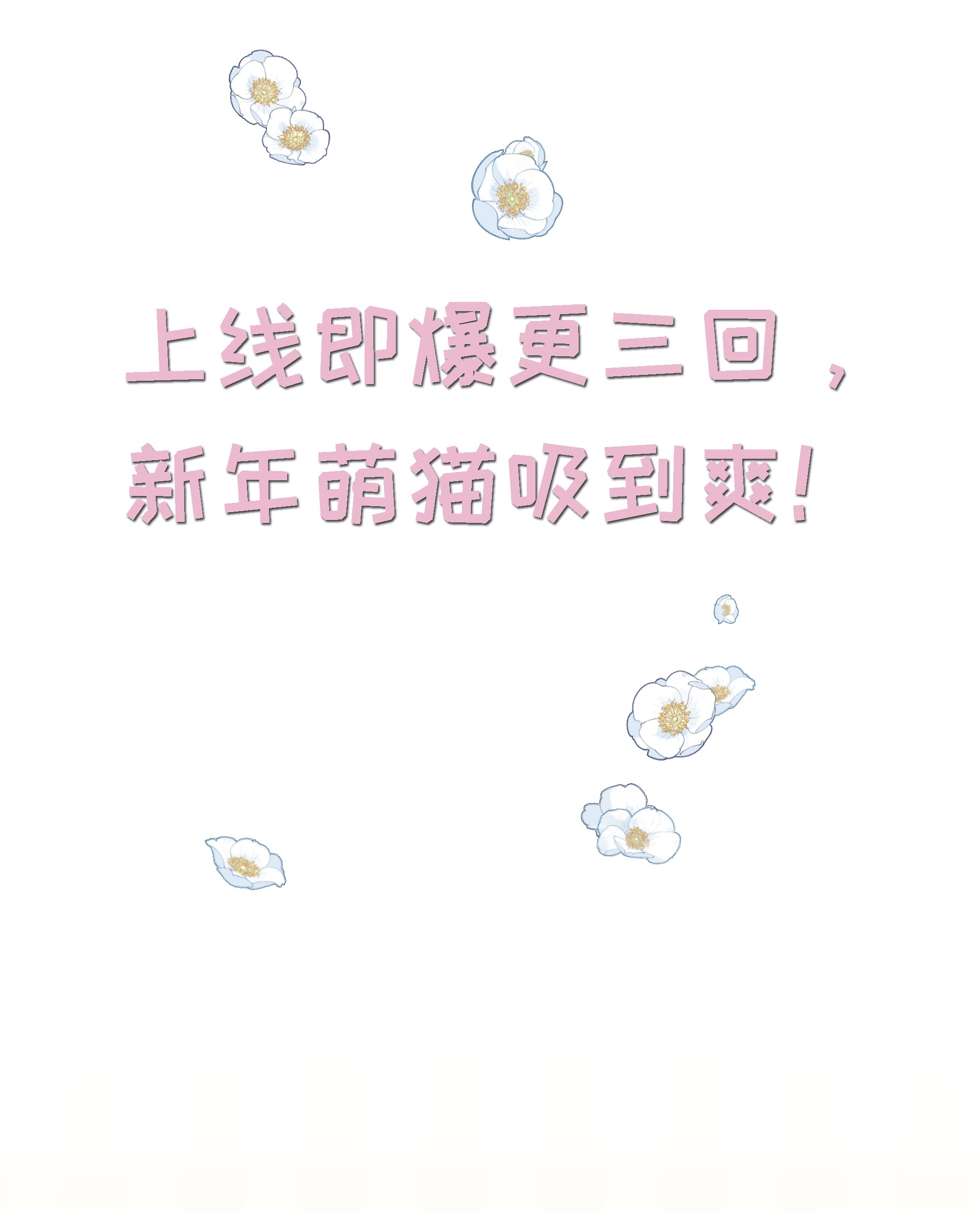 营养过良预告 一起来吸猫