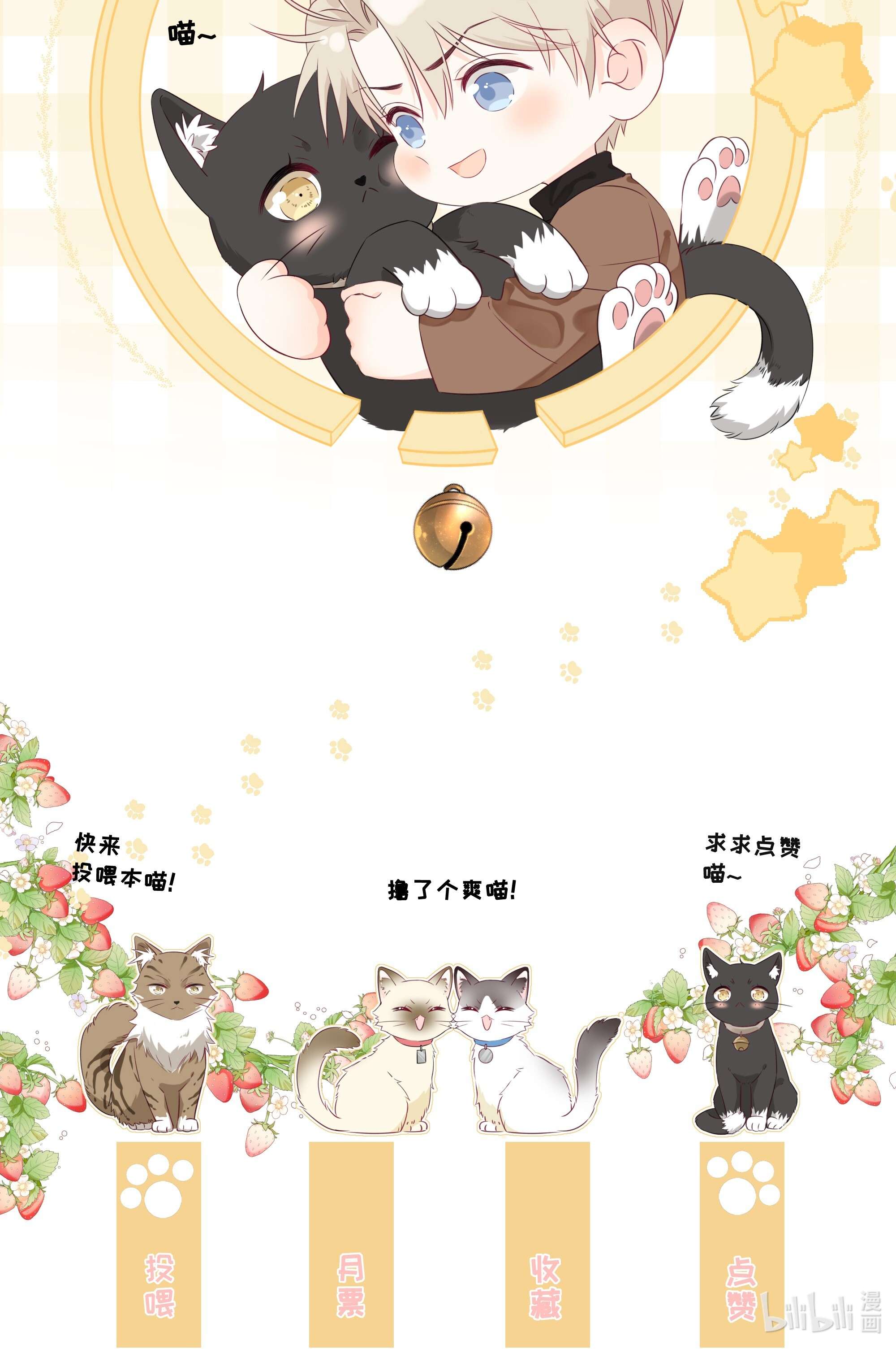 营养过良预告 一起来吸猫