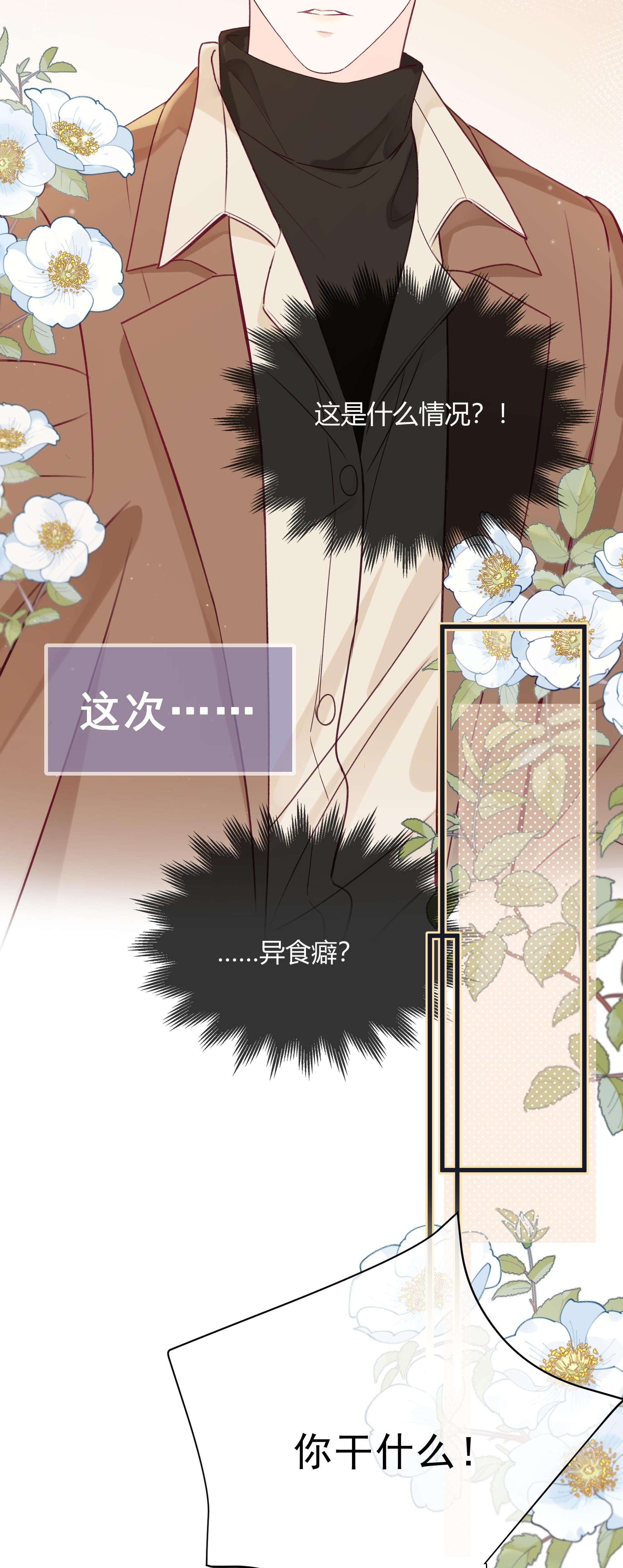 营养过良预告 一起来吸猫