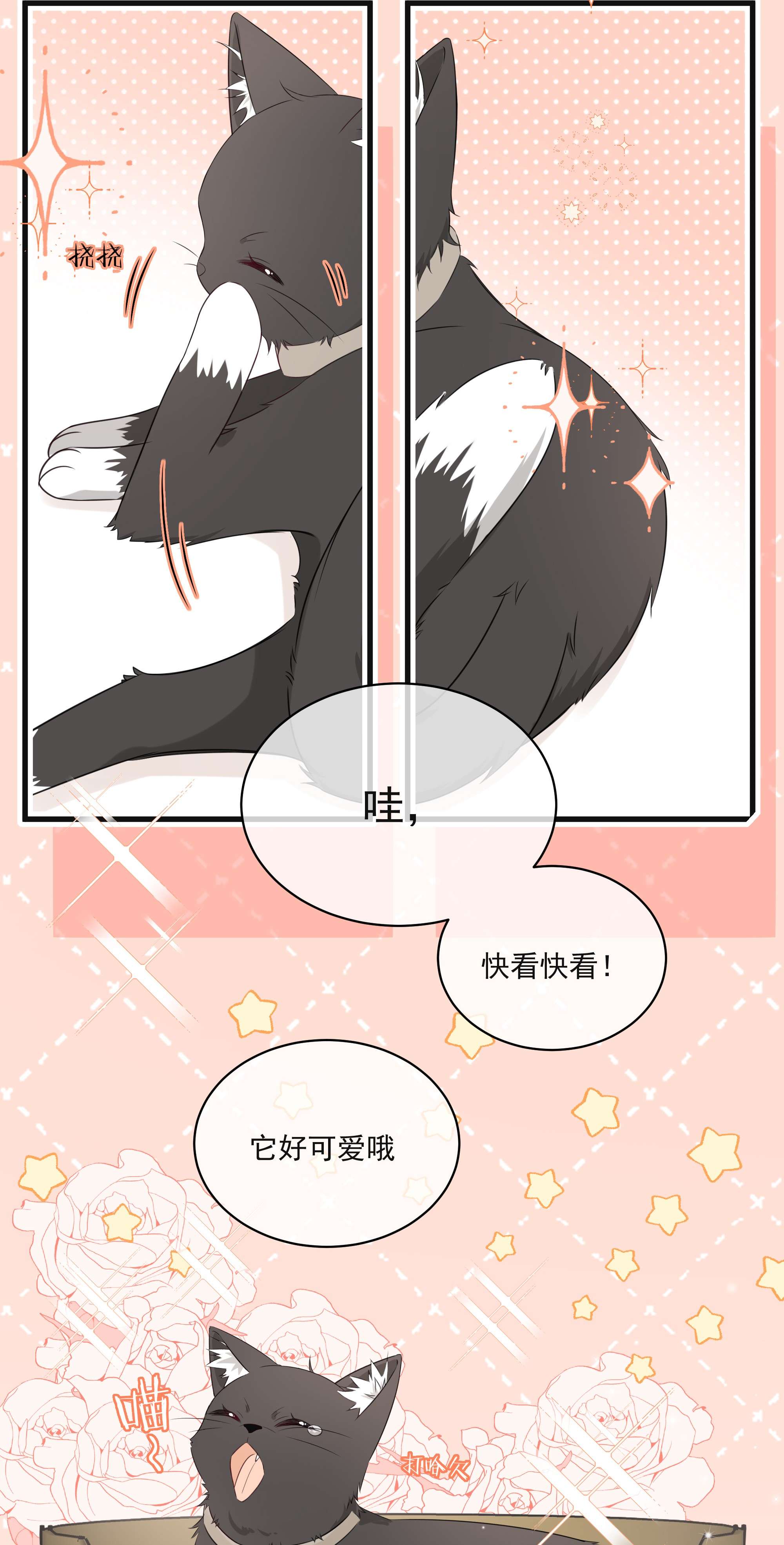 营养过良004 实在听不懂