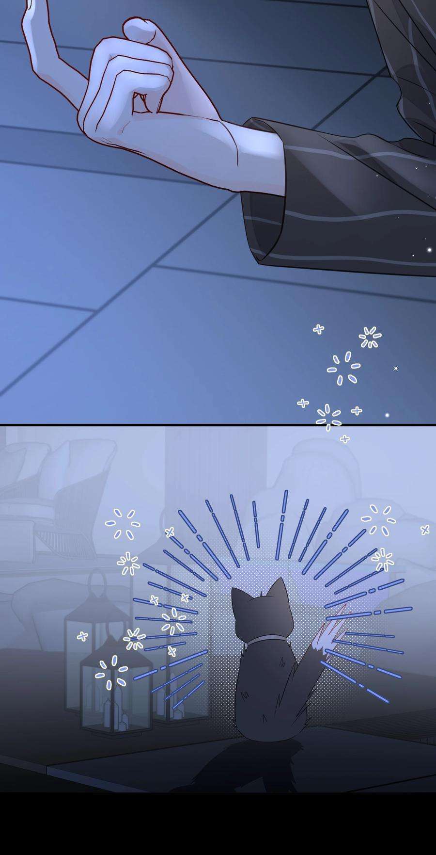 营养过良021 发现小黑猫