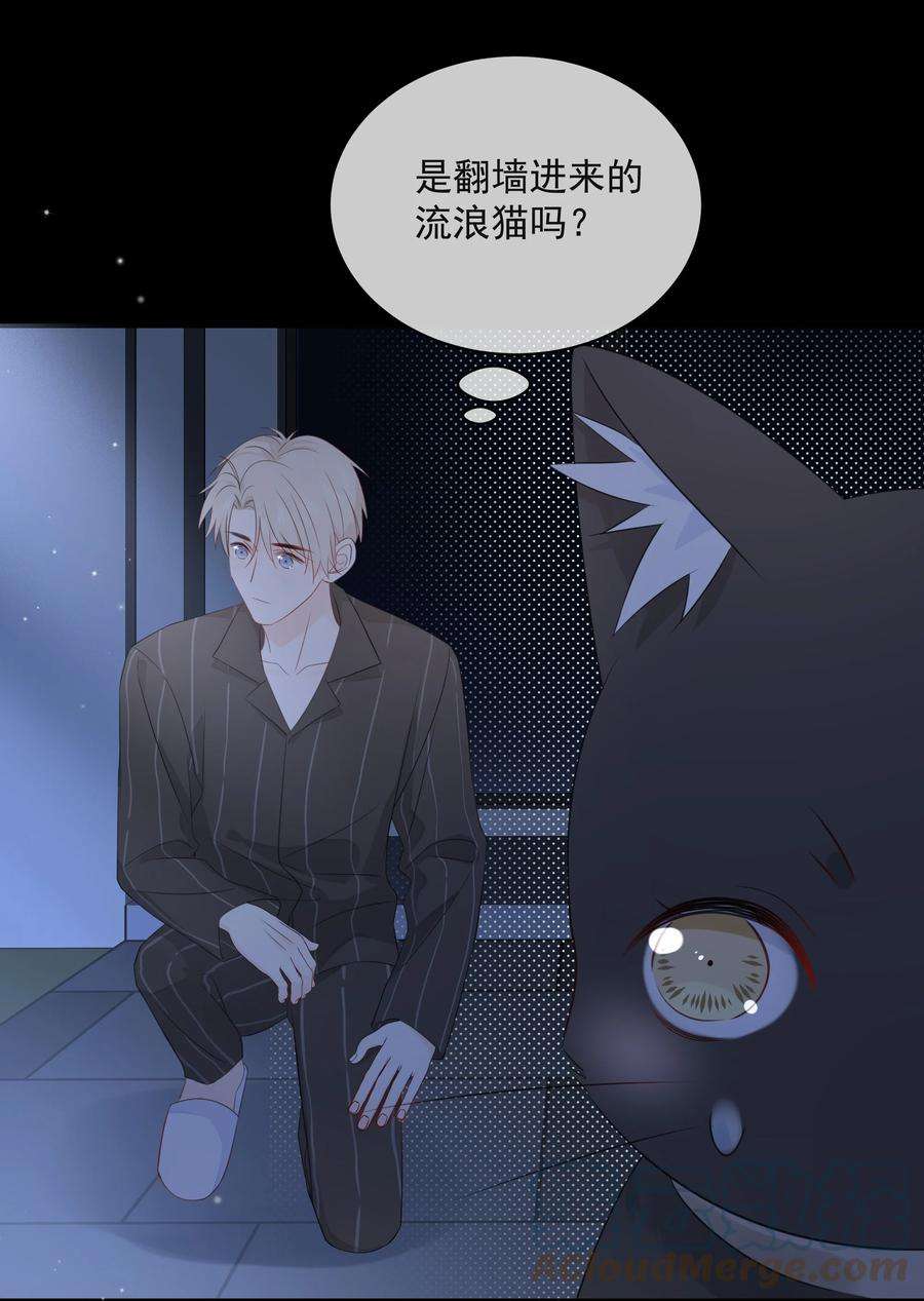 营养过良021 发现小黑猫
