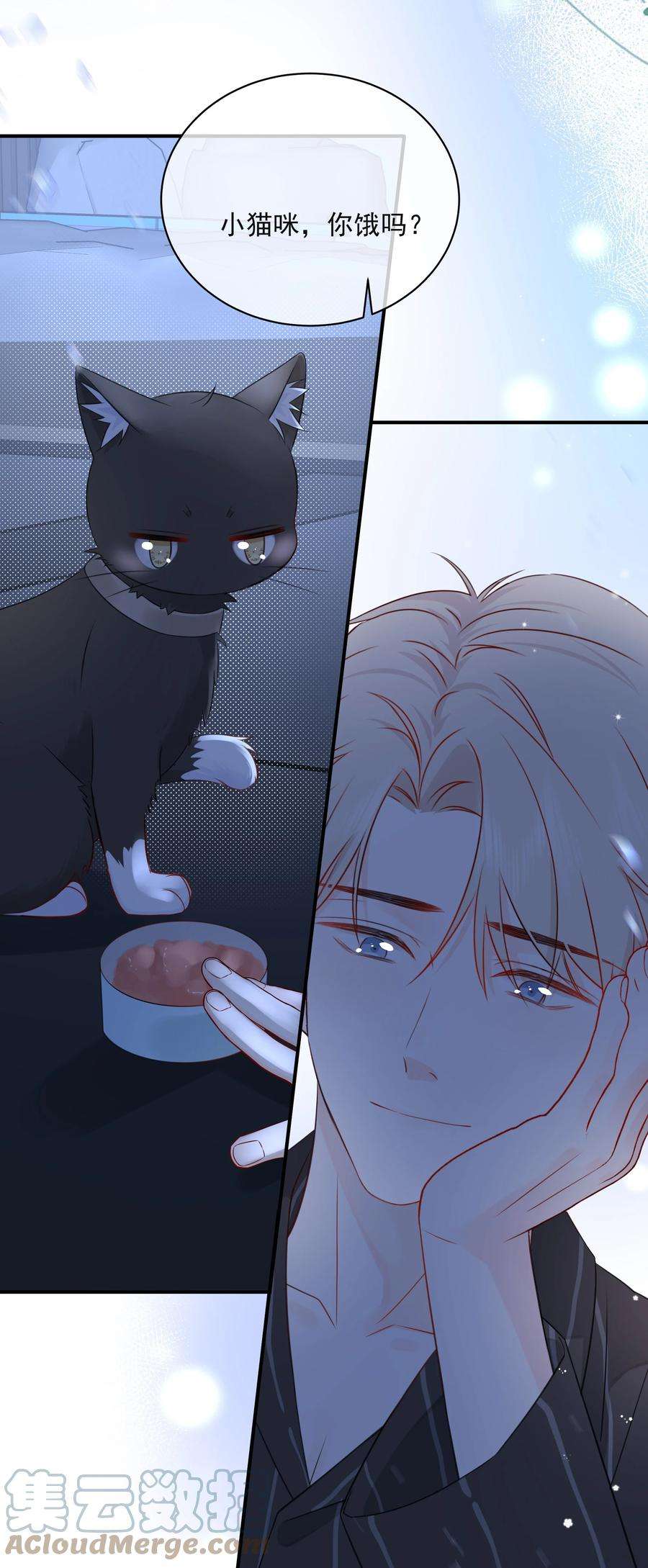 营养过良021 发现小黑猫