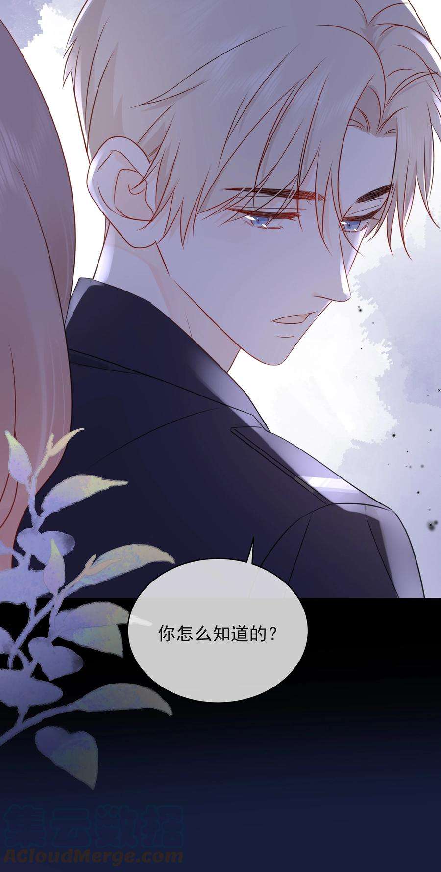 营养过良021 发现小黑猫