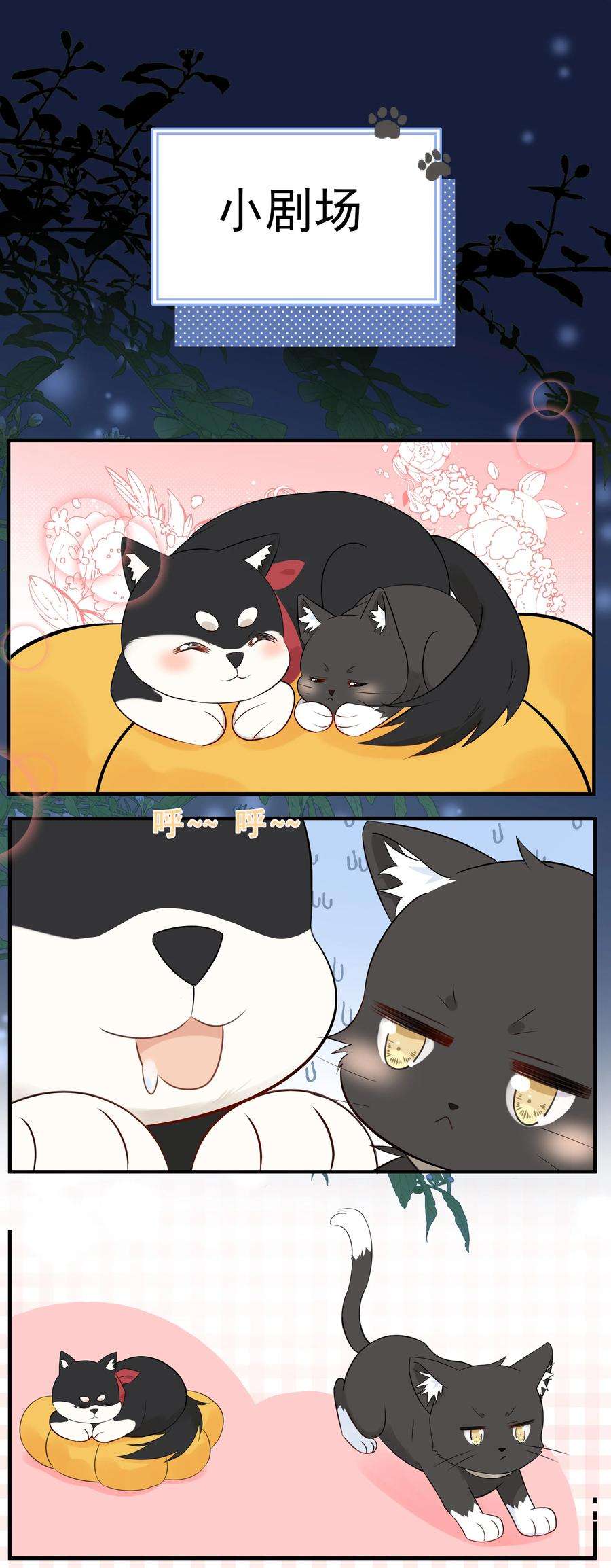 营养过良021 发现小黑猫