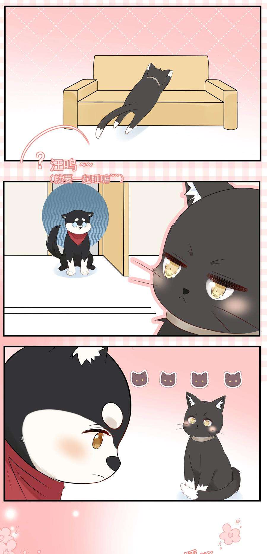 营养过良021 发现小黑猫