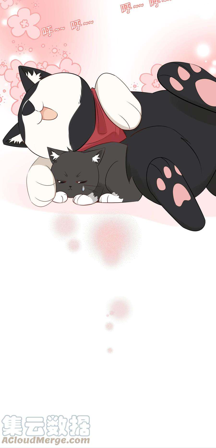 营养过良021 发现小黑猫