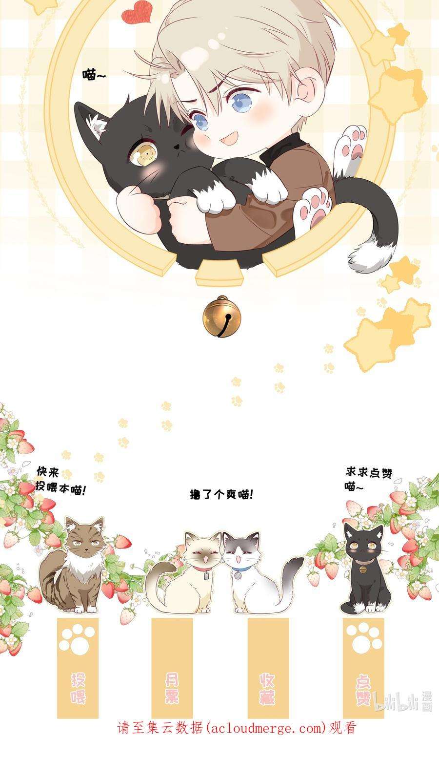 营养过良021 发现小黑猫