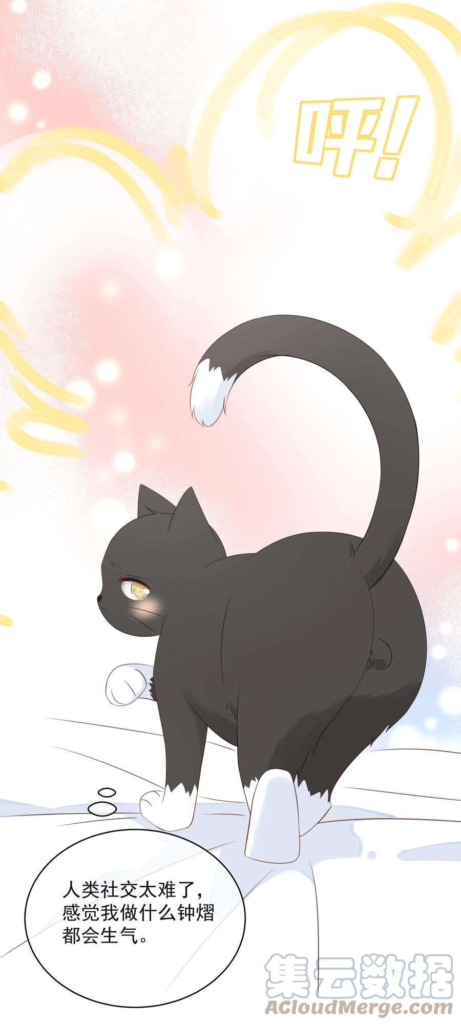 营养过良021 发现小黑猫