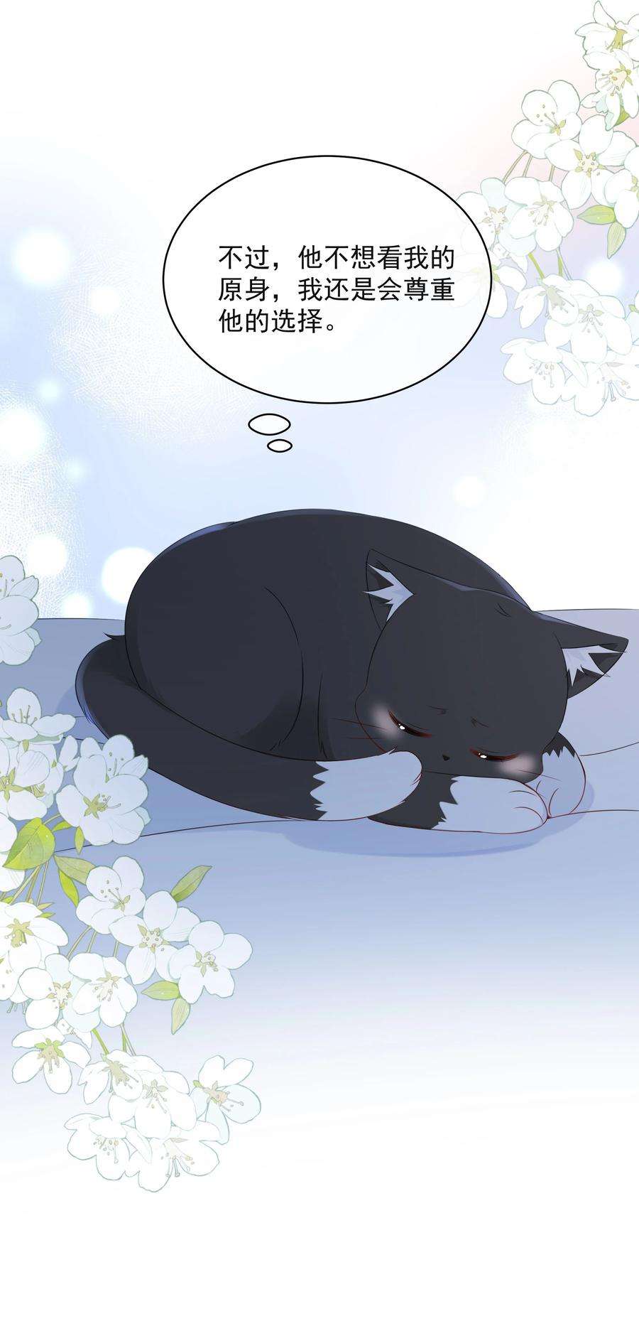 营养过良021 发现小黑猫