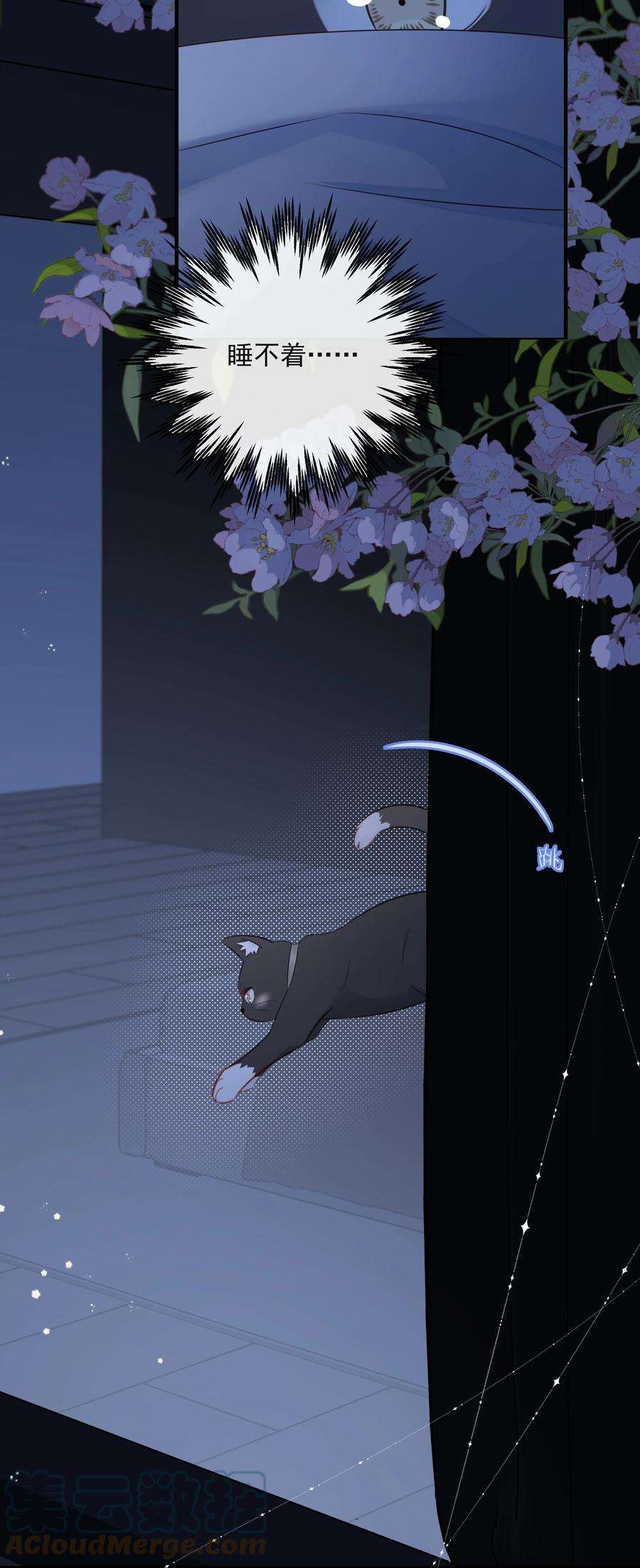 营养过良021 发现小黑猫