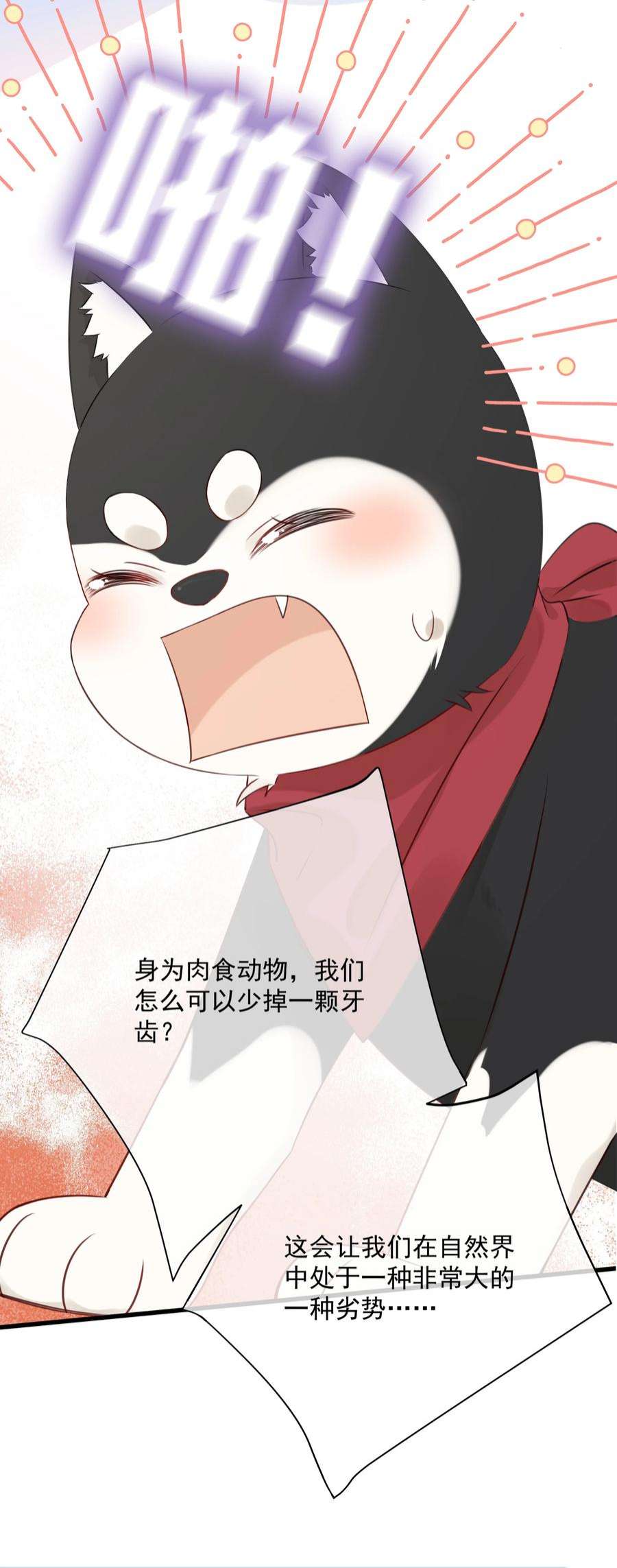 营养过良027 猫咪的圆桌会议