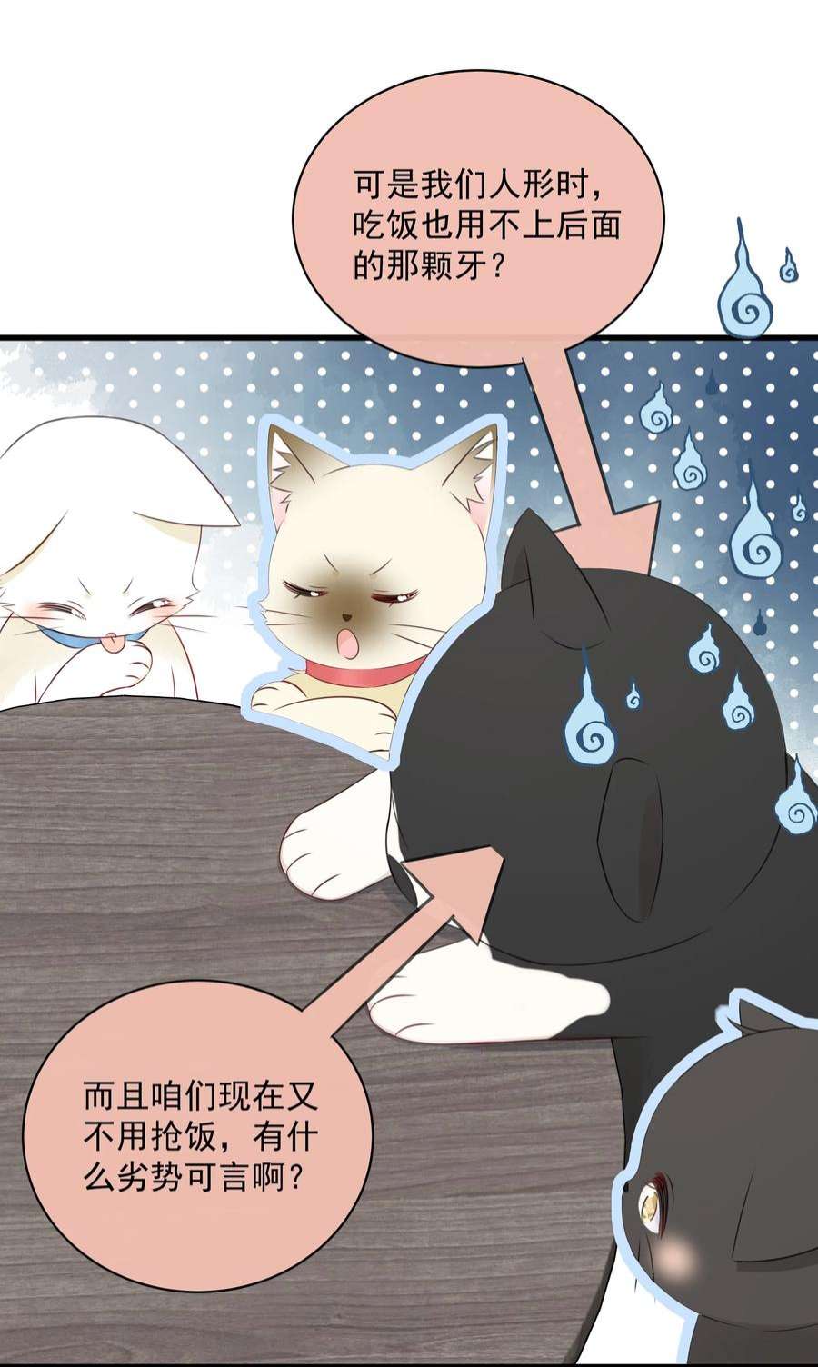 营养过良027 猫咪的圆桌会议