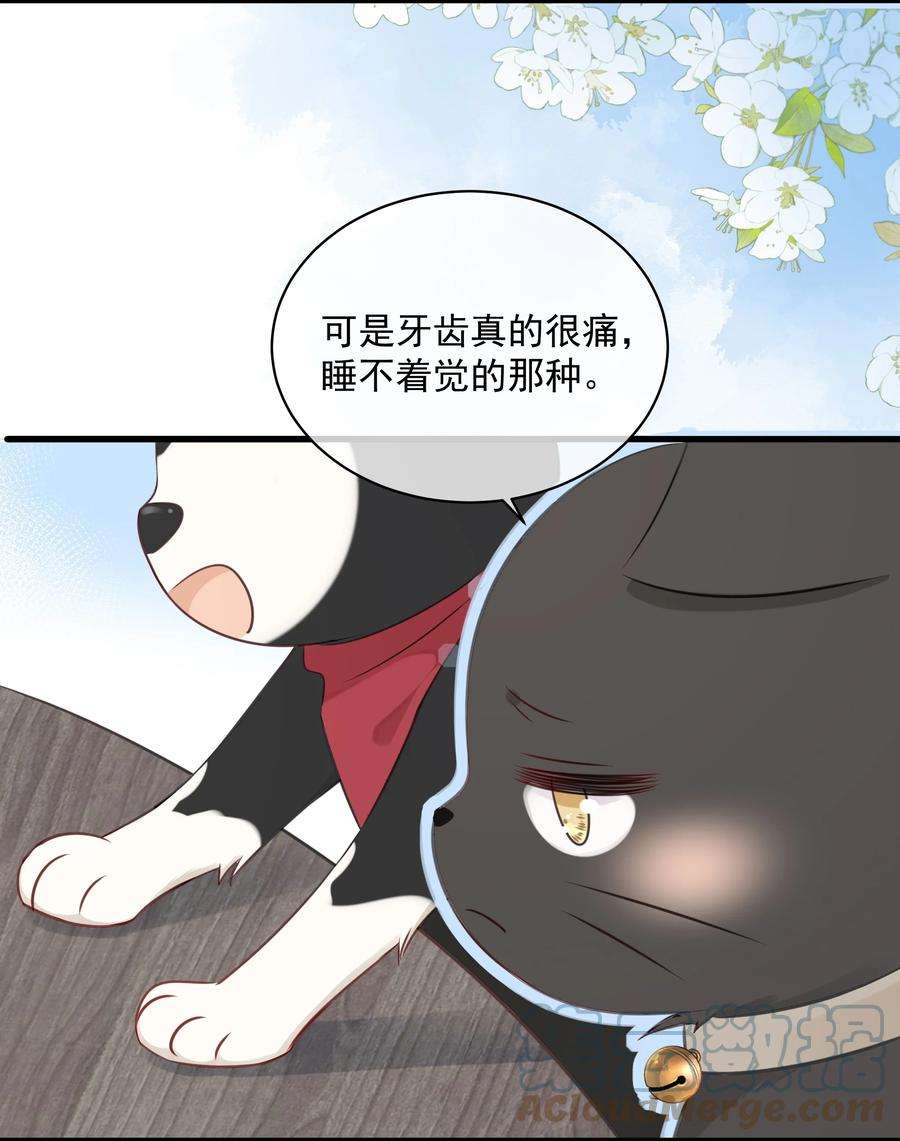 营养过良027 猫咪的圆桌会议