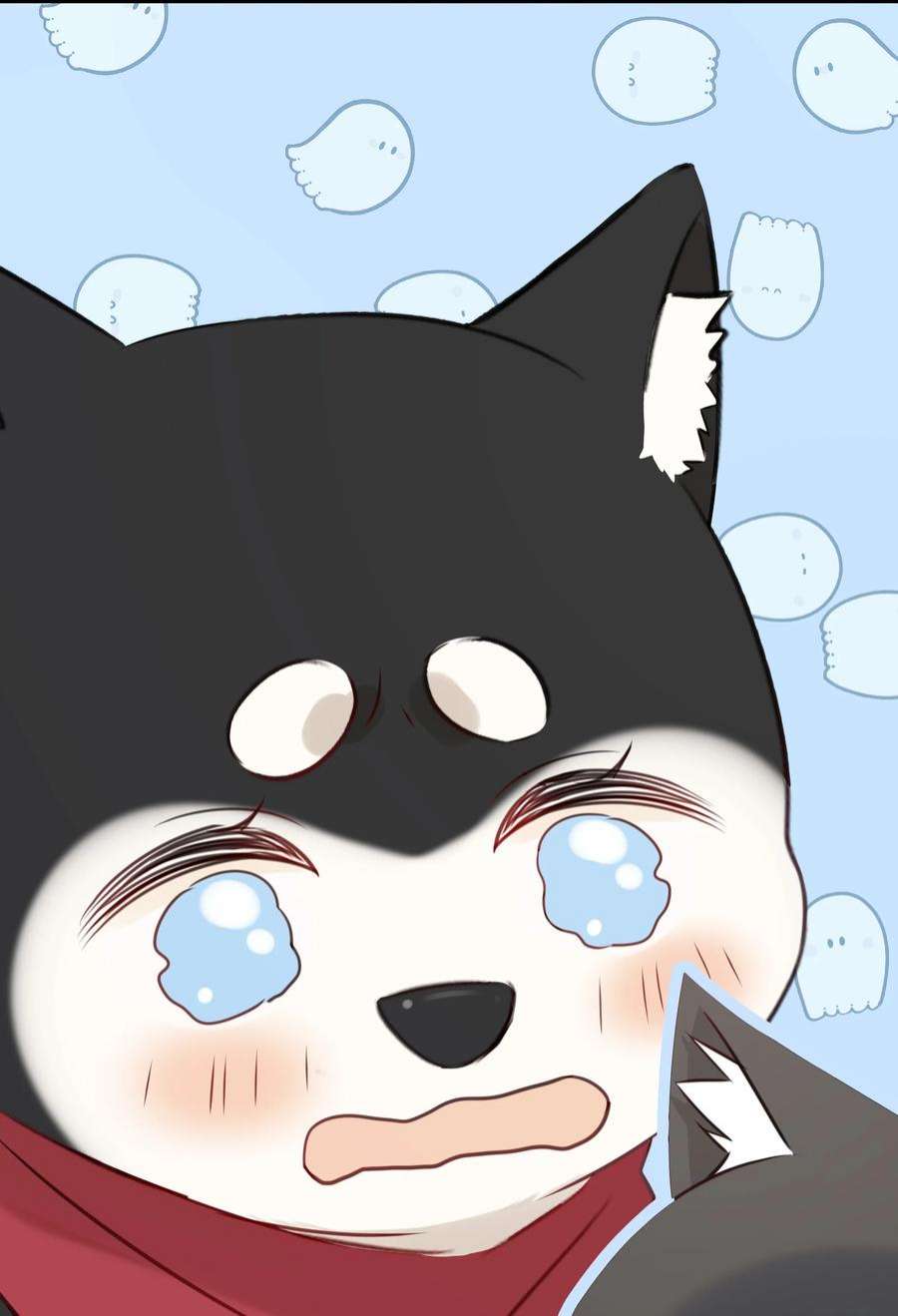 营养过良027 猫咪的圆桌会议