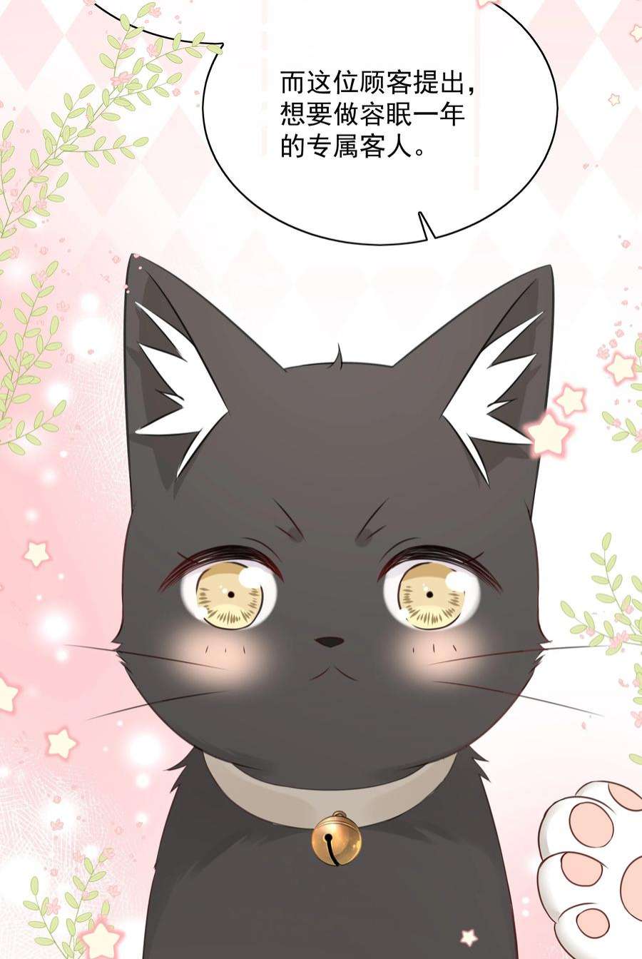 营养过良027 猫咪的圆桌会议