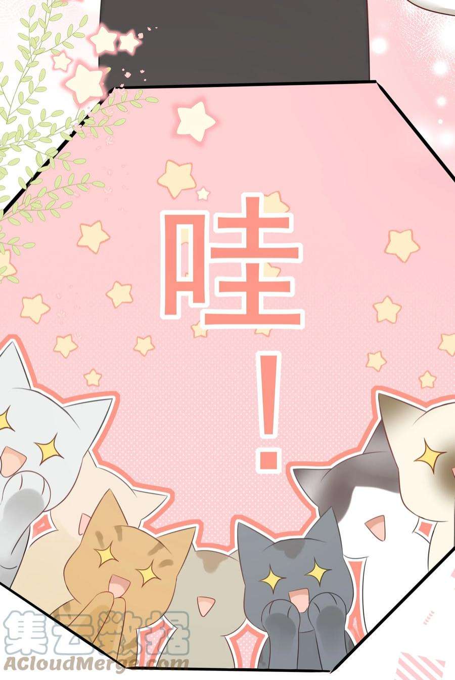 营养过良027 猫咪的圆桌会议