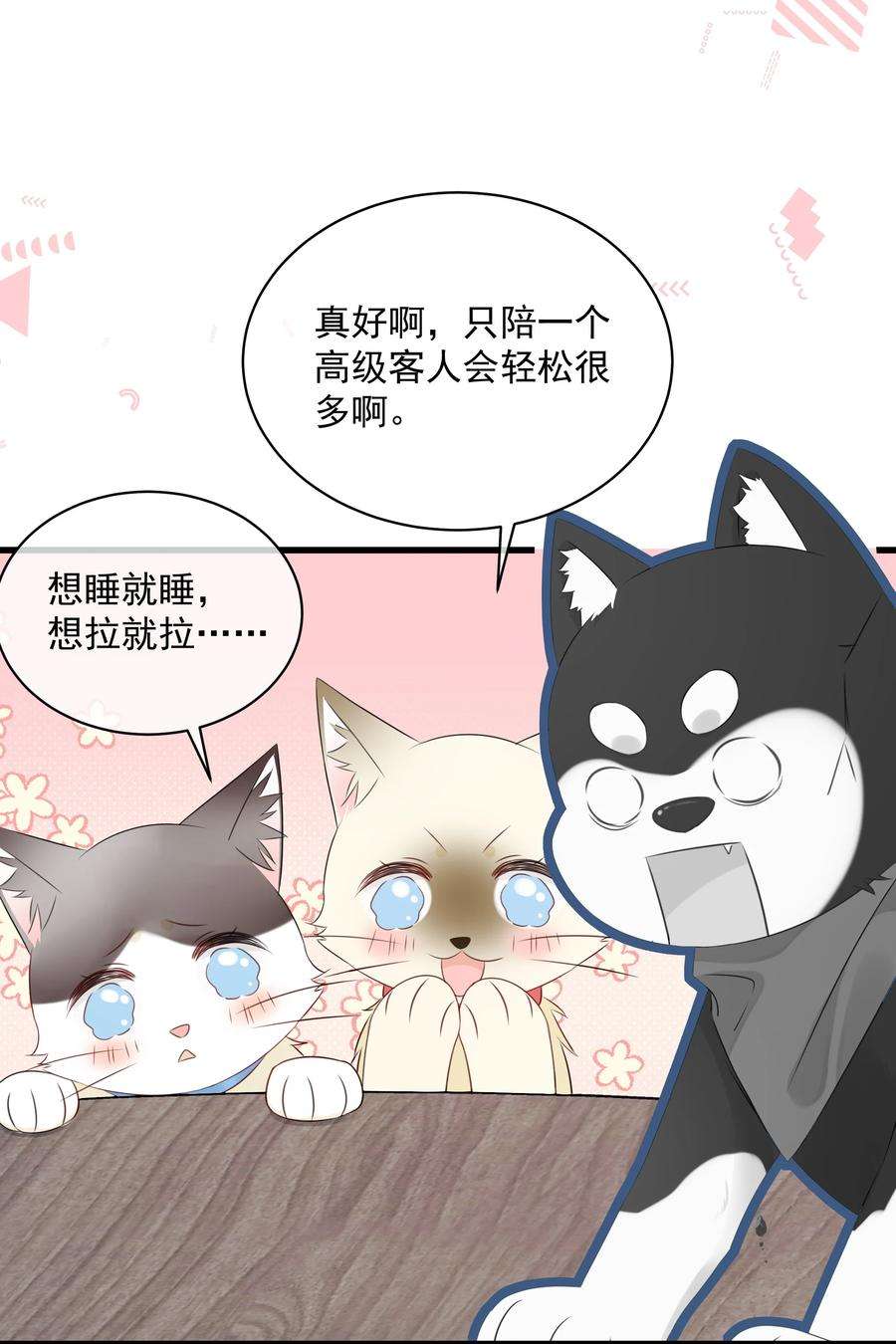 营养过良027 猫咪的圆桌会议