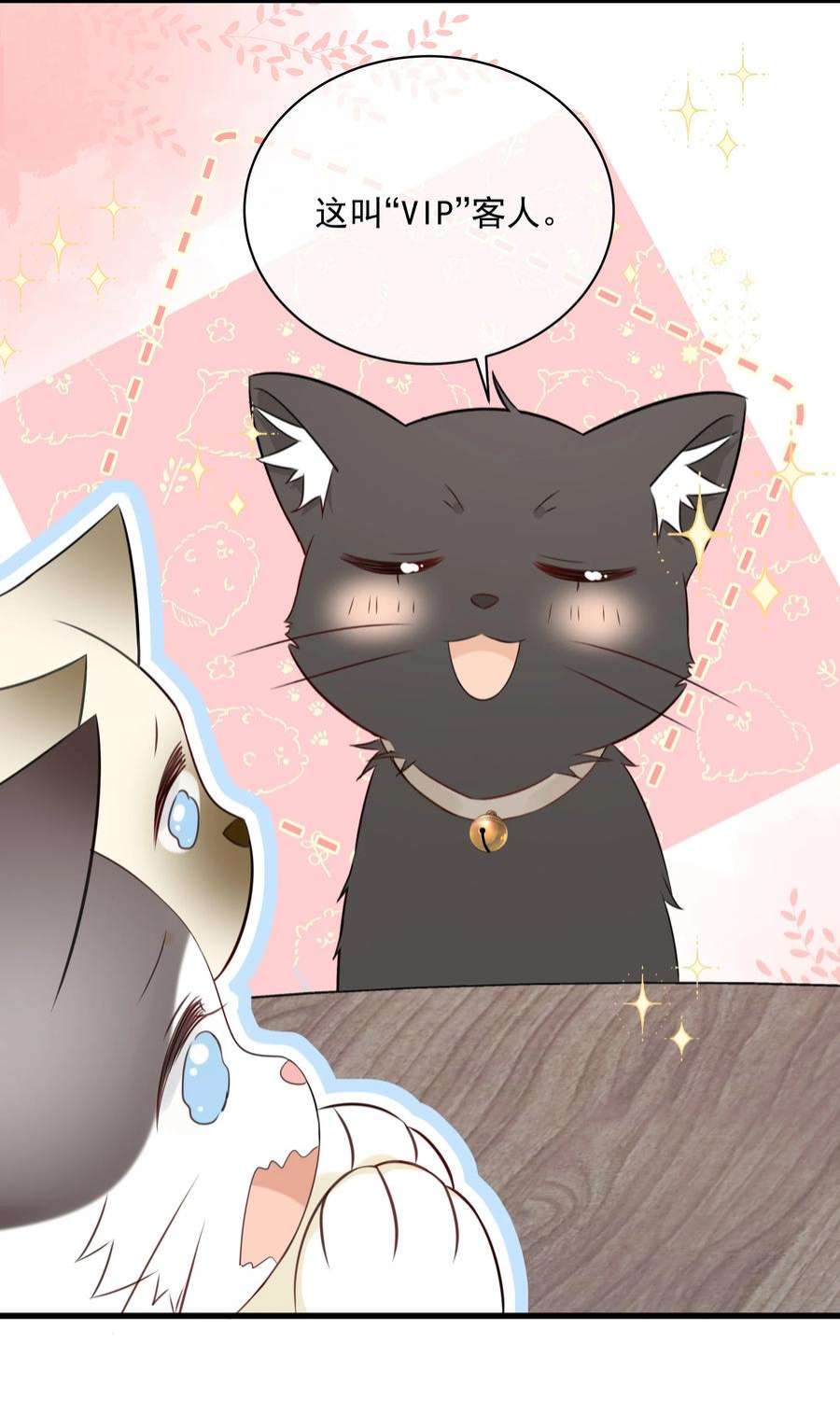 营养过良027 猫咪的圆桌会议
