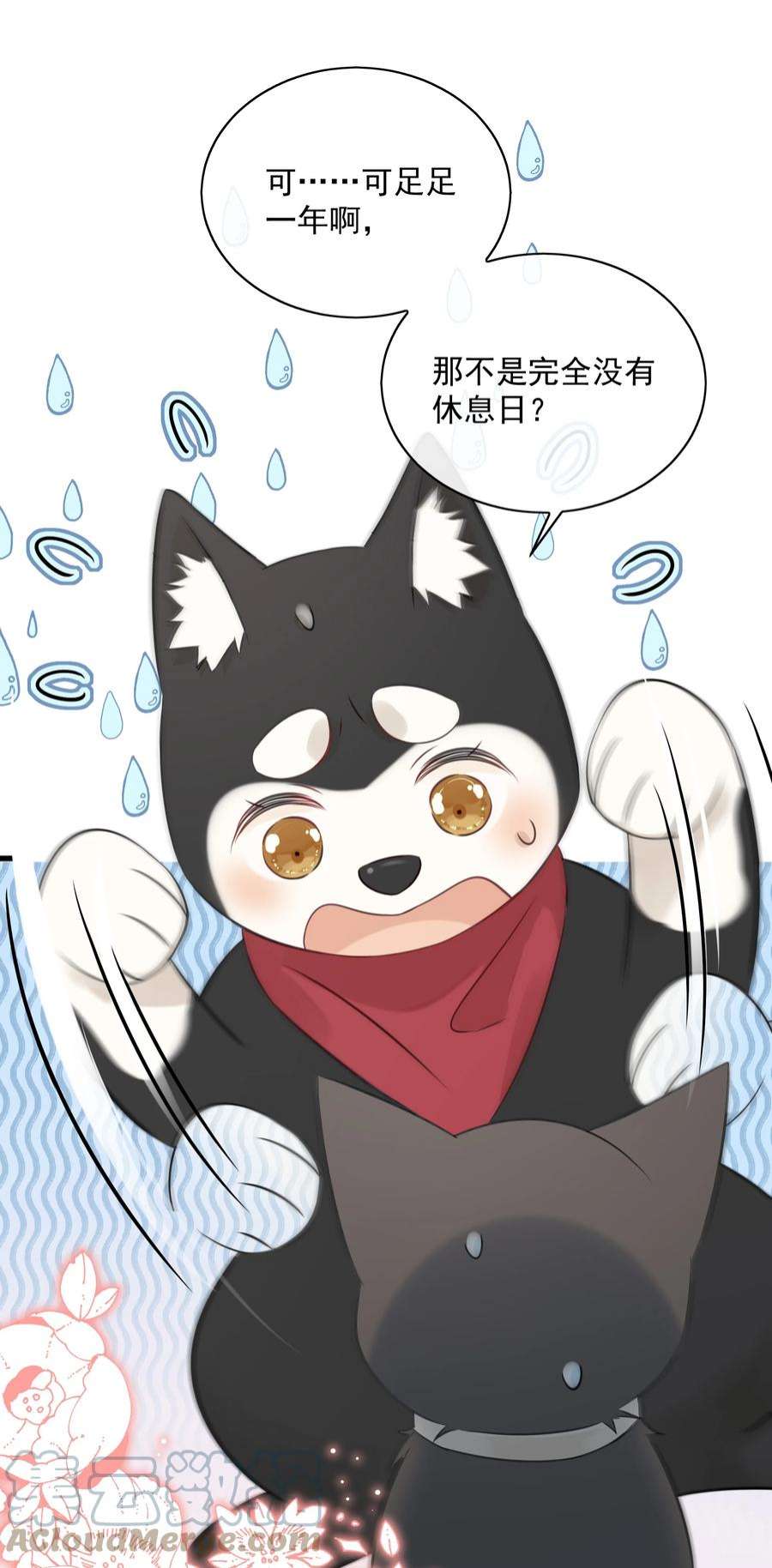 营养过良027 猫咪的圆桌会议