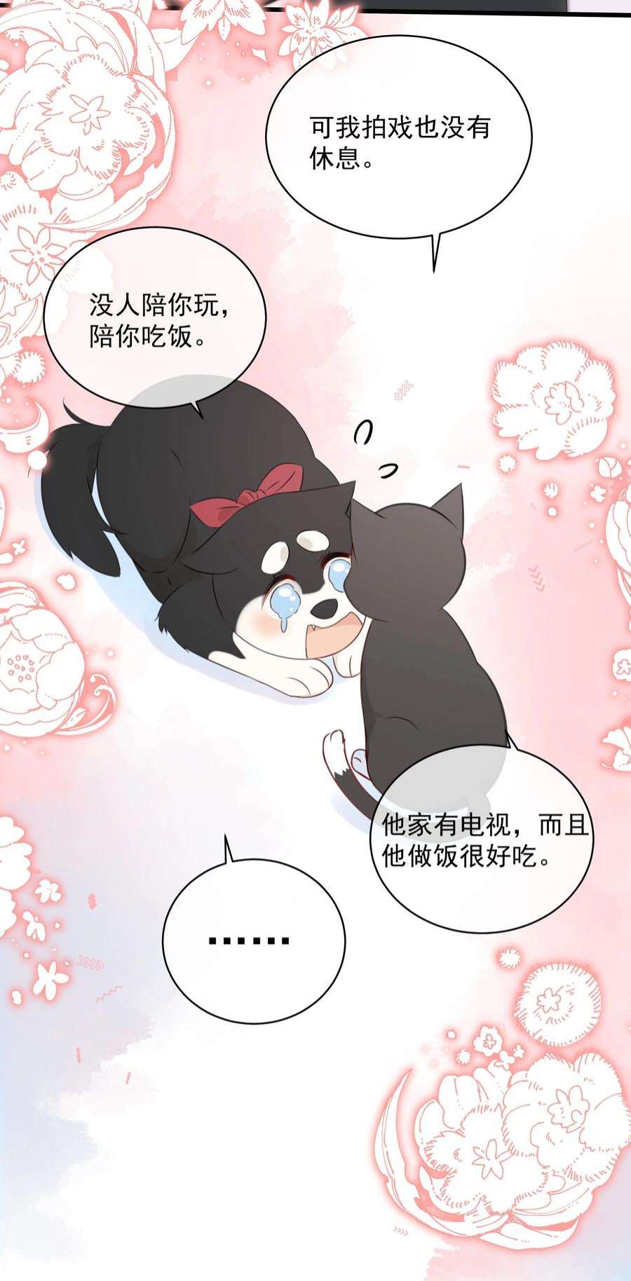 营养过良027 猫咪的圆桌会议