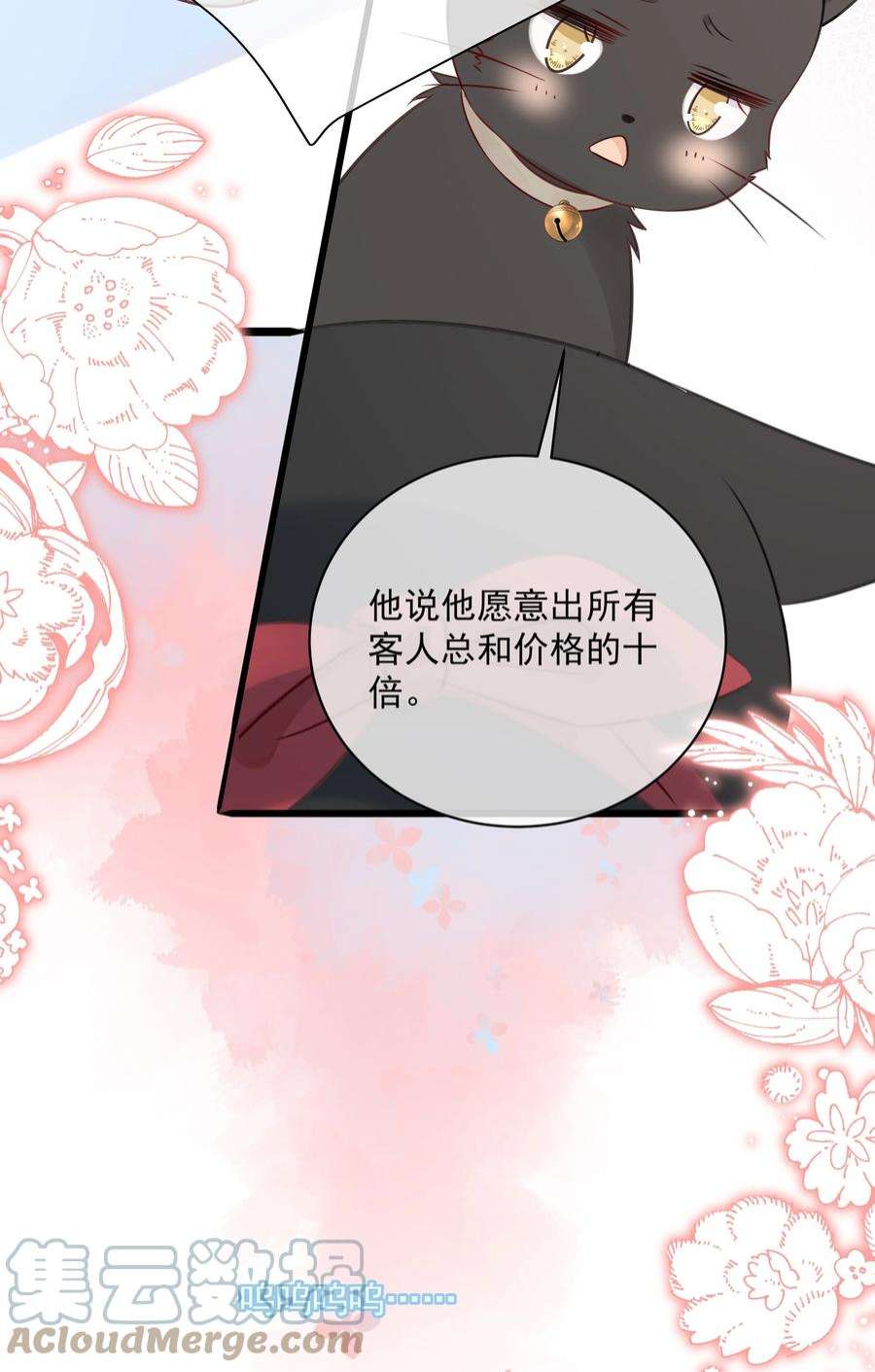 营养过良027 猫咪的圆桌会议