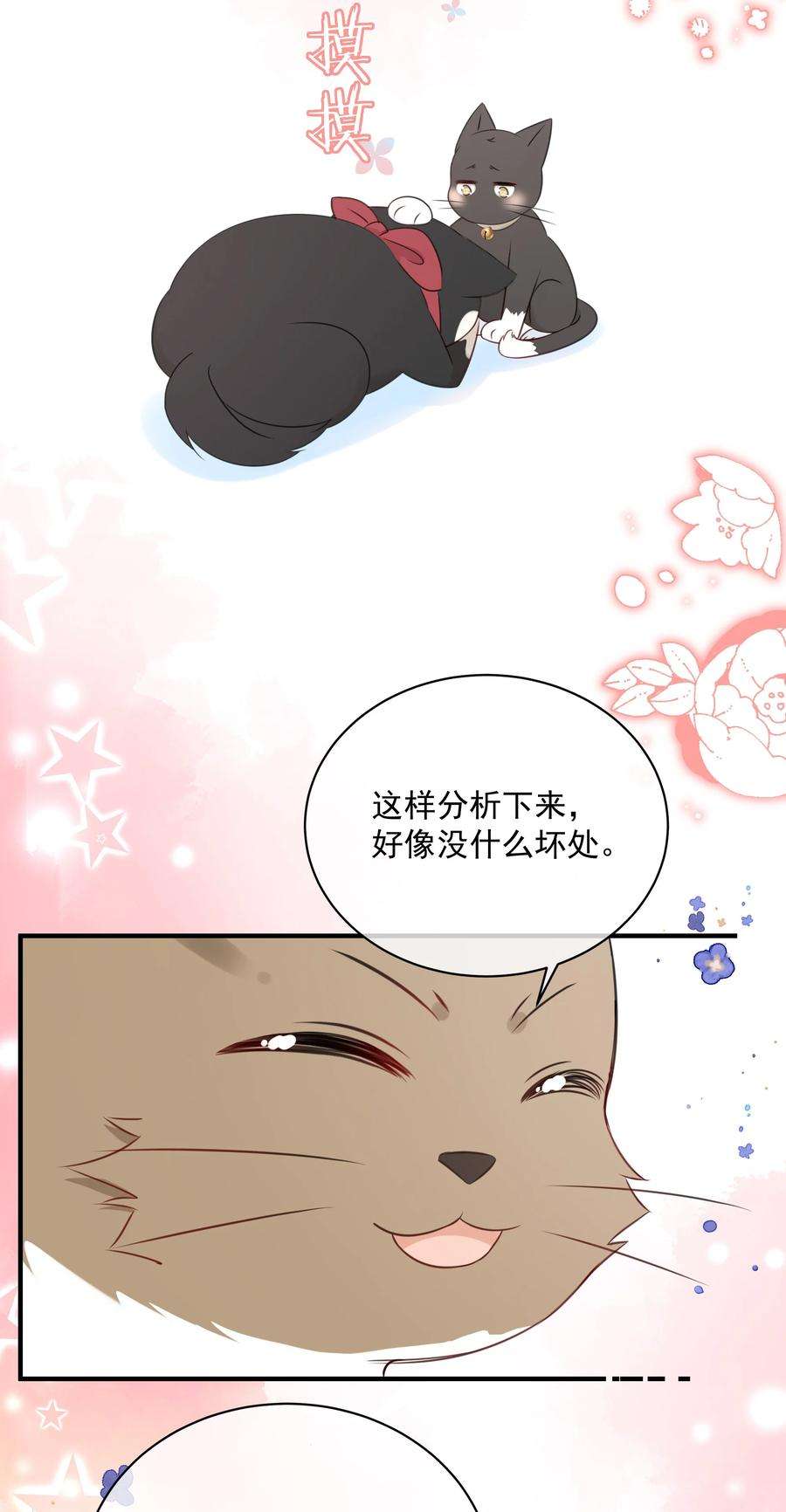 营养过良027 猫咪的圆桌会议