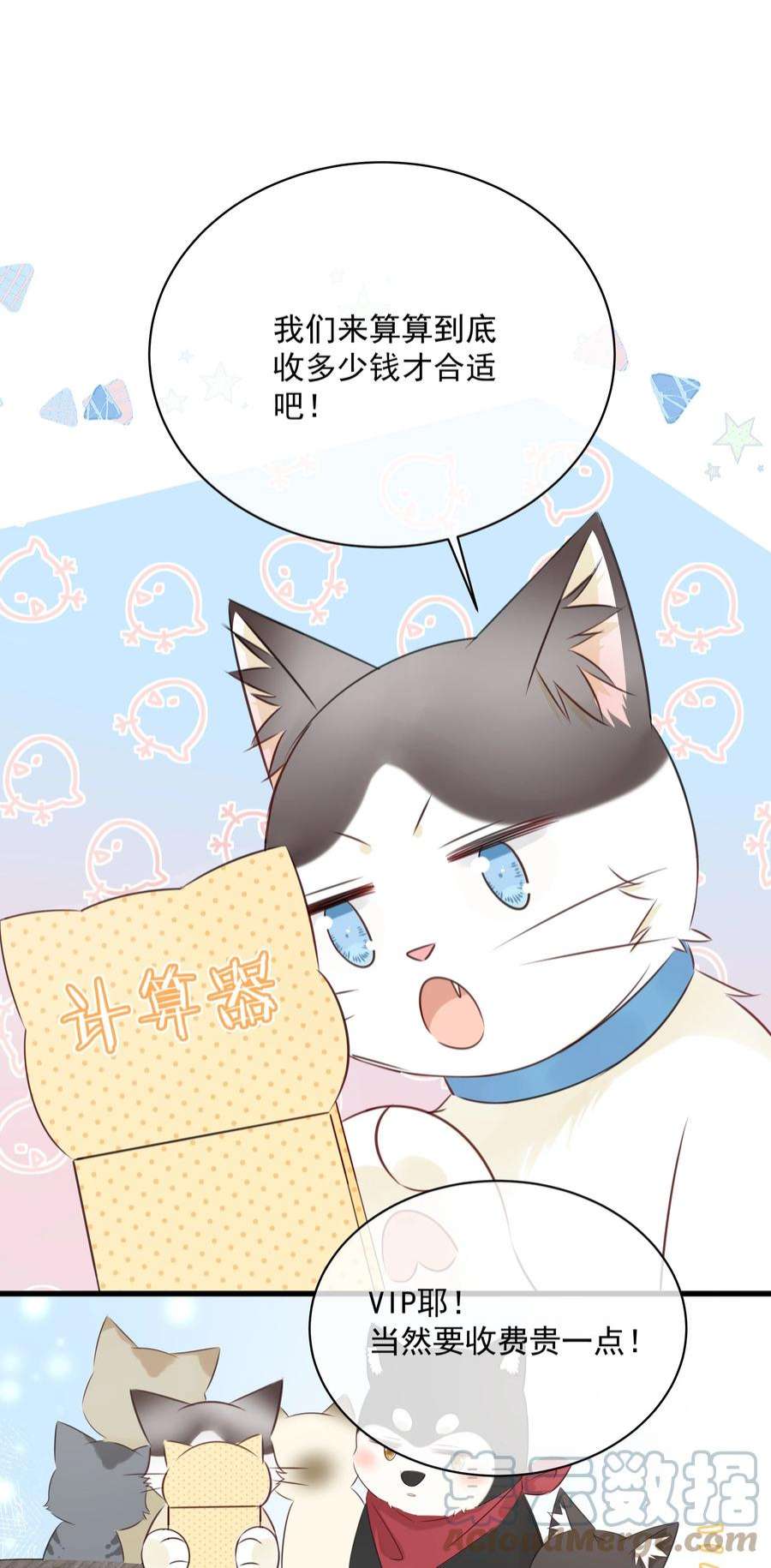 营养过良027 猫咪的圆桌会议