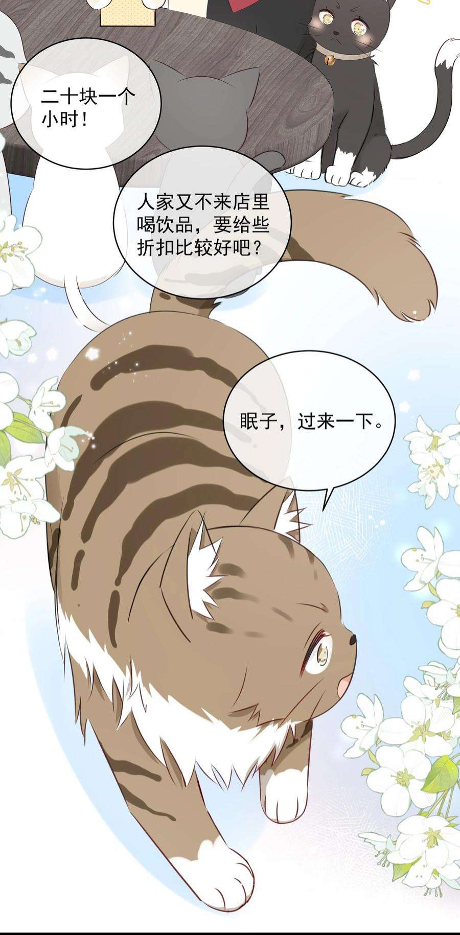 营养过良027 猫咪的圆桌会议