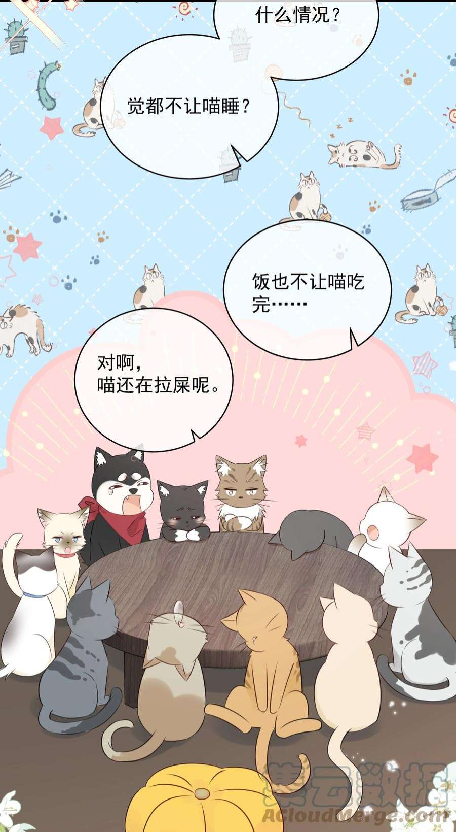 营养过良027 猫咪的圆桌会议