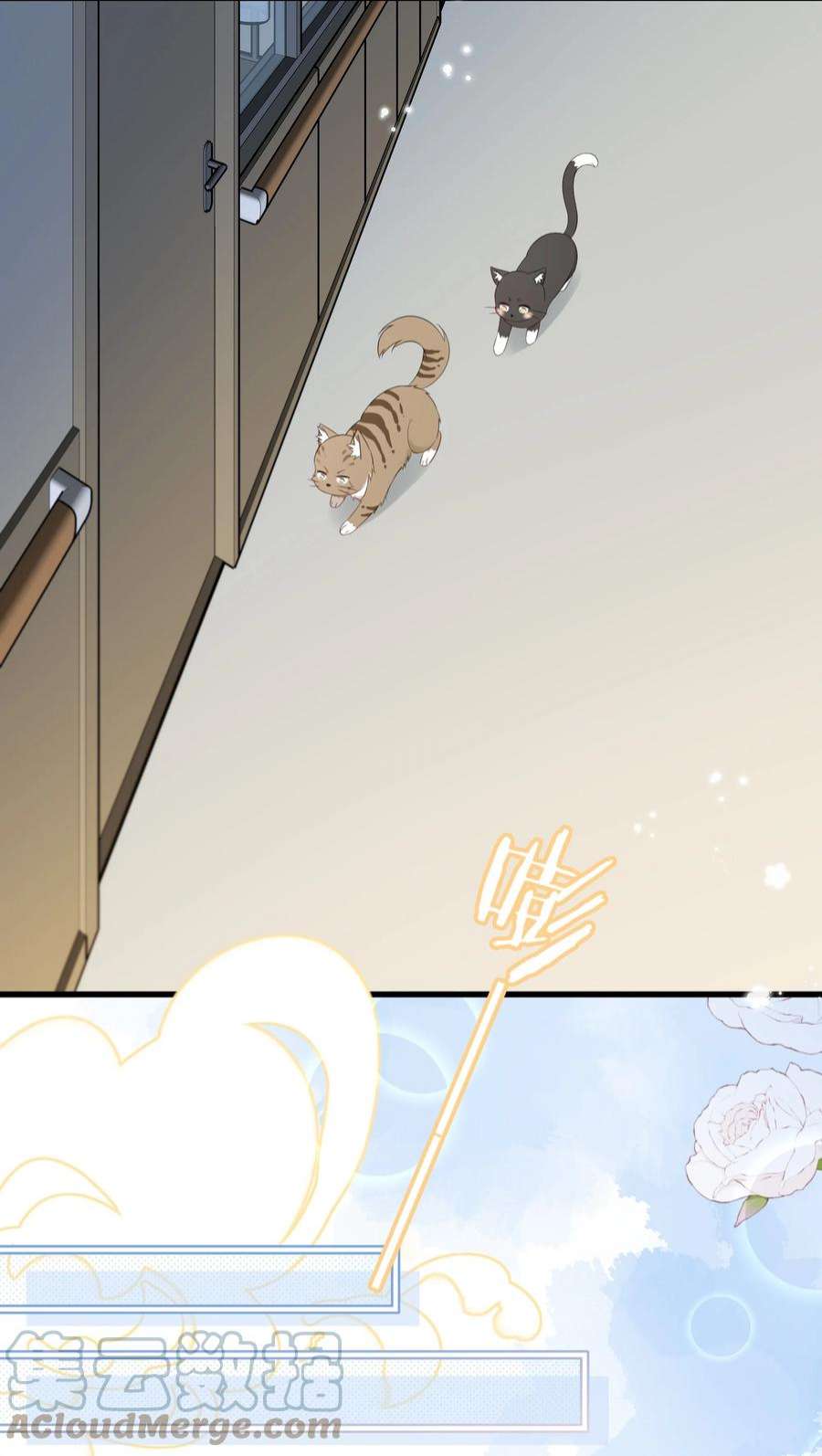 营养过良027 猫咪的圆桌会议
