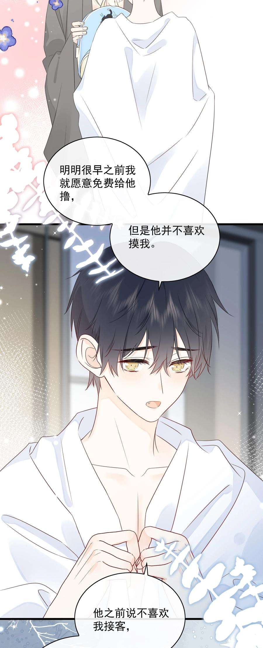 营养过良027 猫咪的圆桌会议