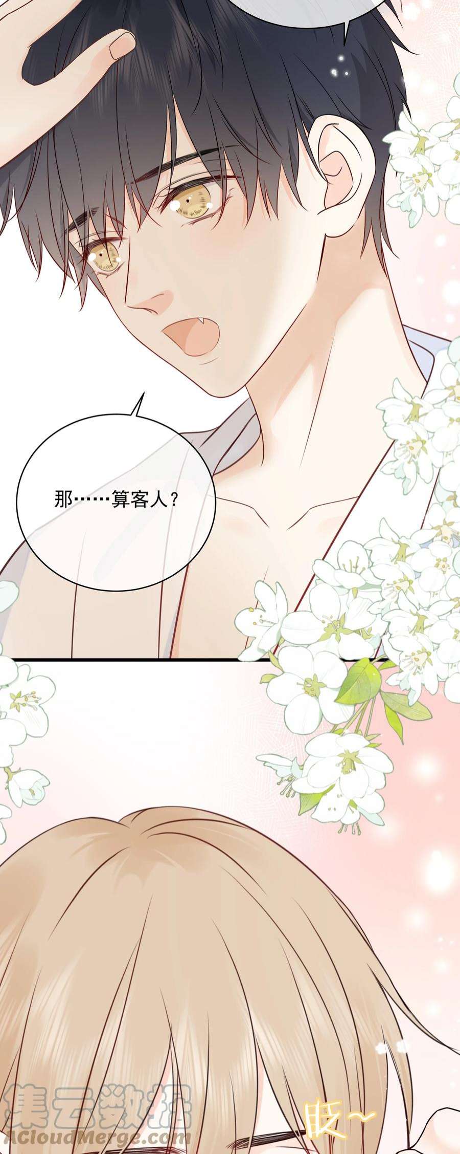 营养过良027 猫咪的圆桌会议