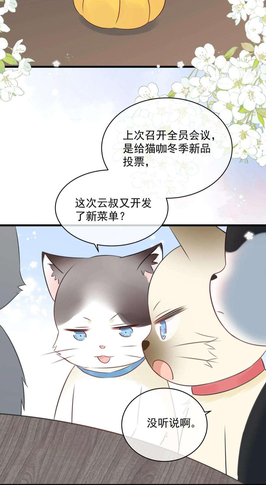 营养过良027 猫咪的圆桌会议
