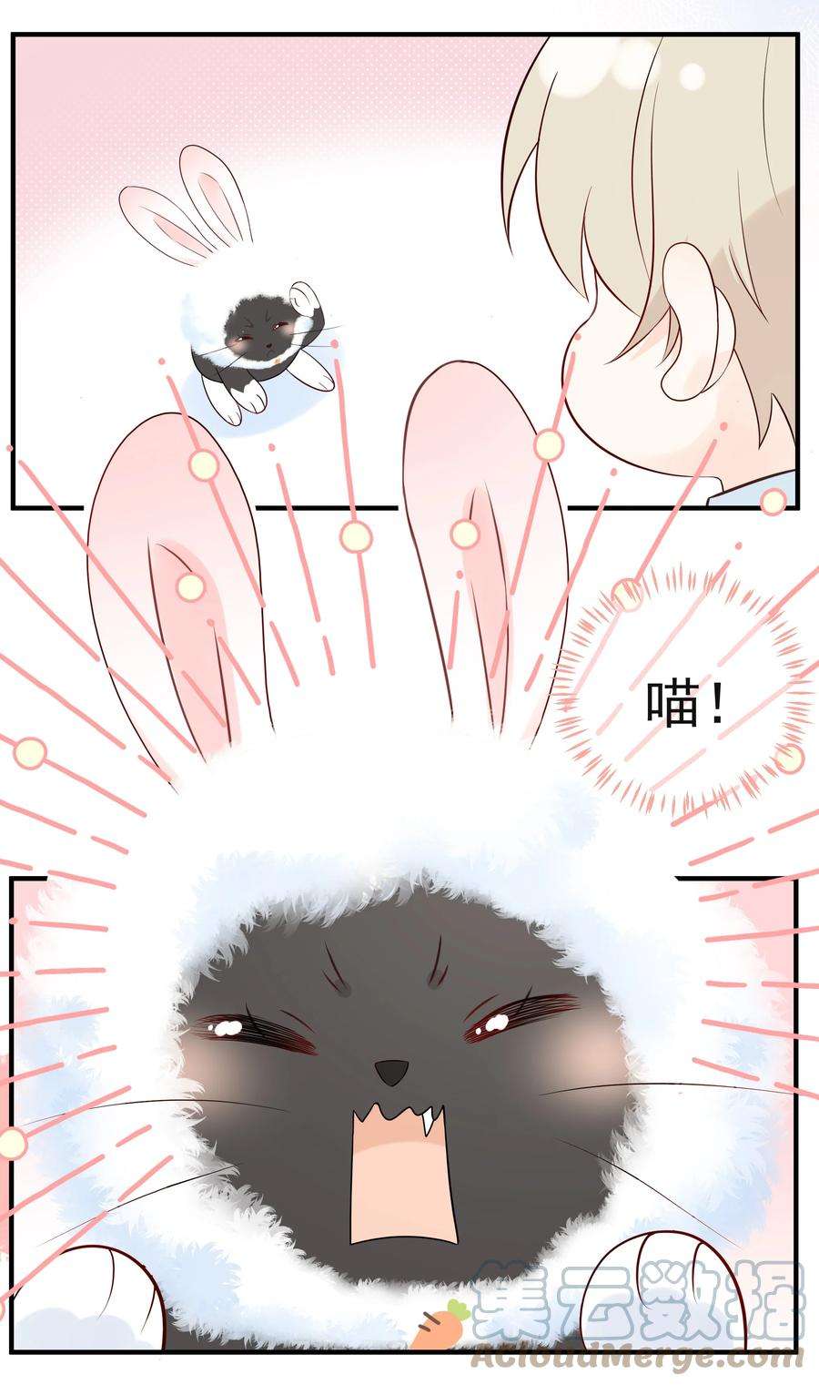 营养过良027 猫咪的圆桌会议