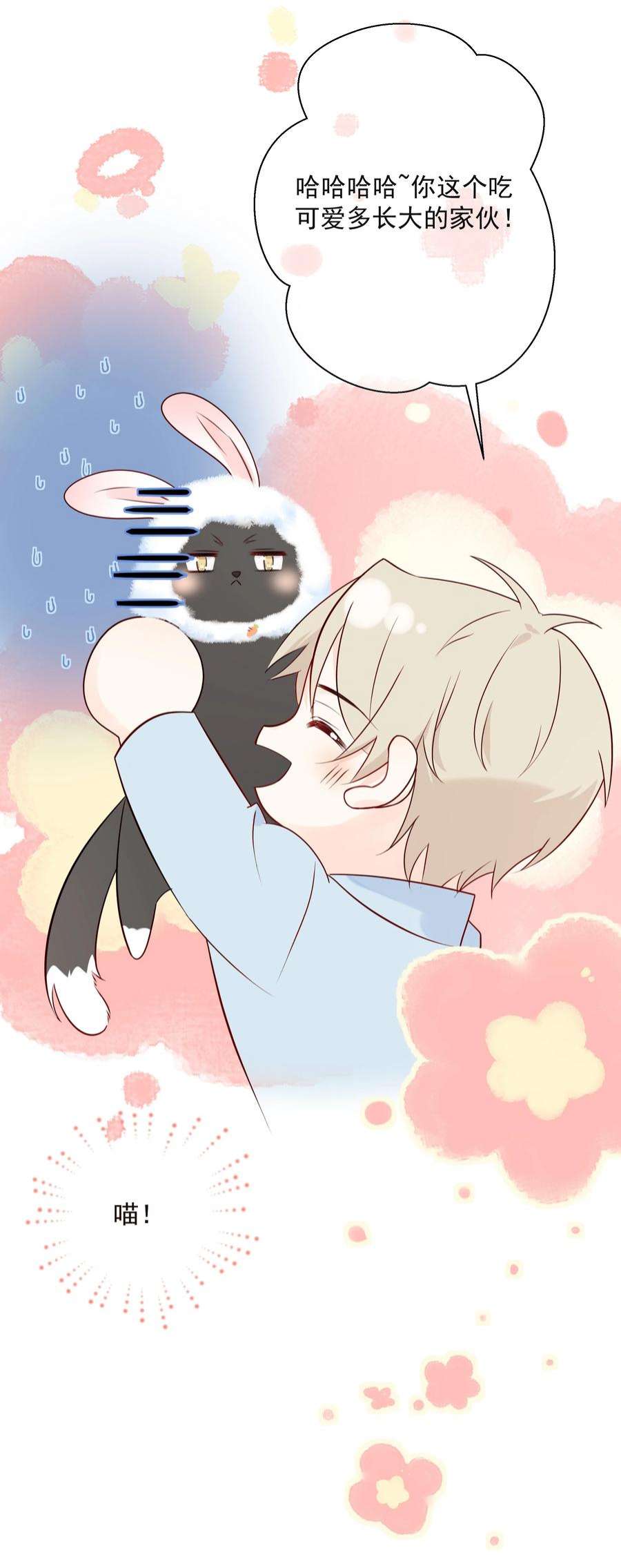 营养过良027 猫咪的圆桌会议