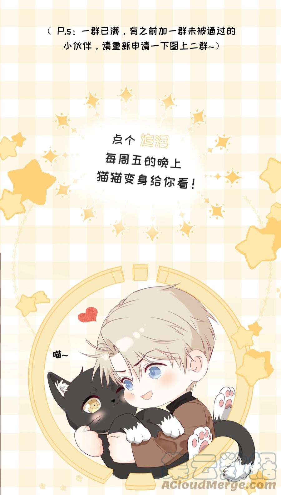 营养过良027 猫咪的圆桌会议