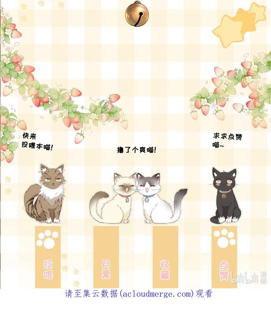营养过良027 猫咪的圆桌会议