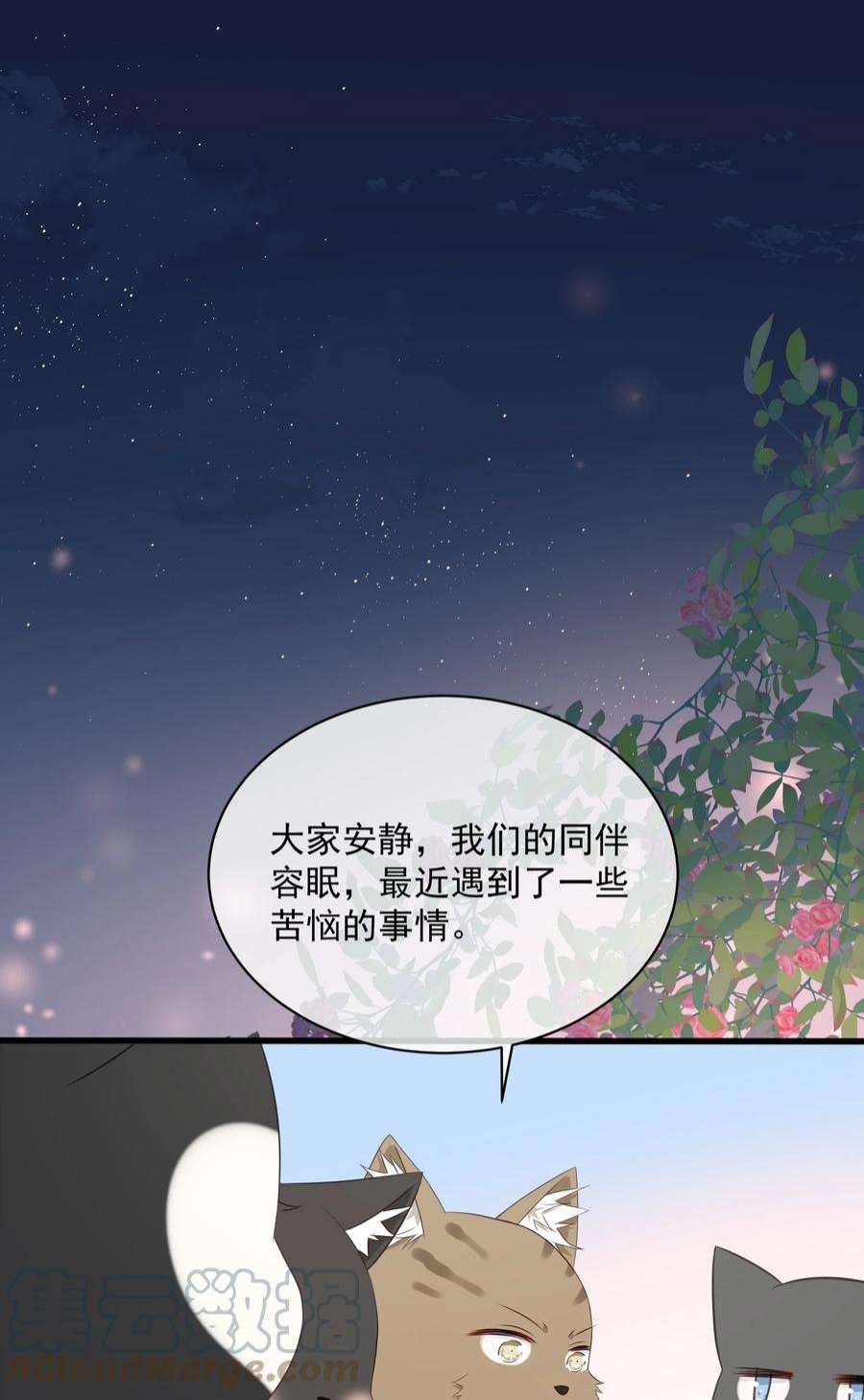 营养过良027 猫咪的圆桌会议